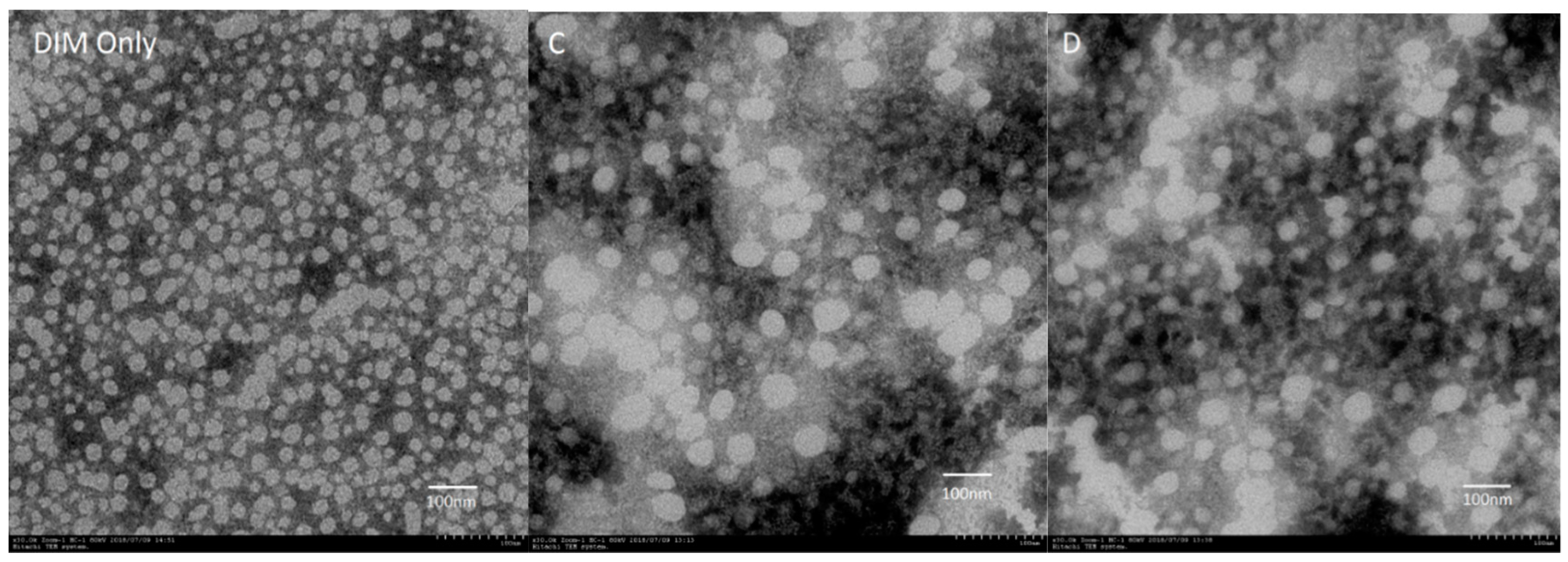 Molecules 24 00702 g003b