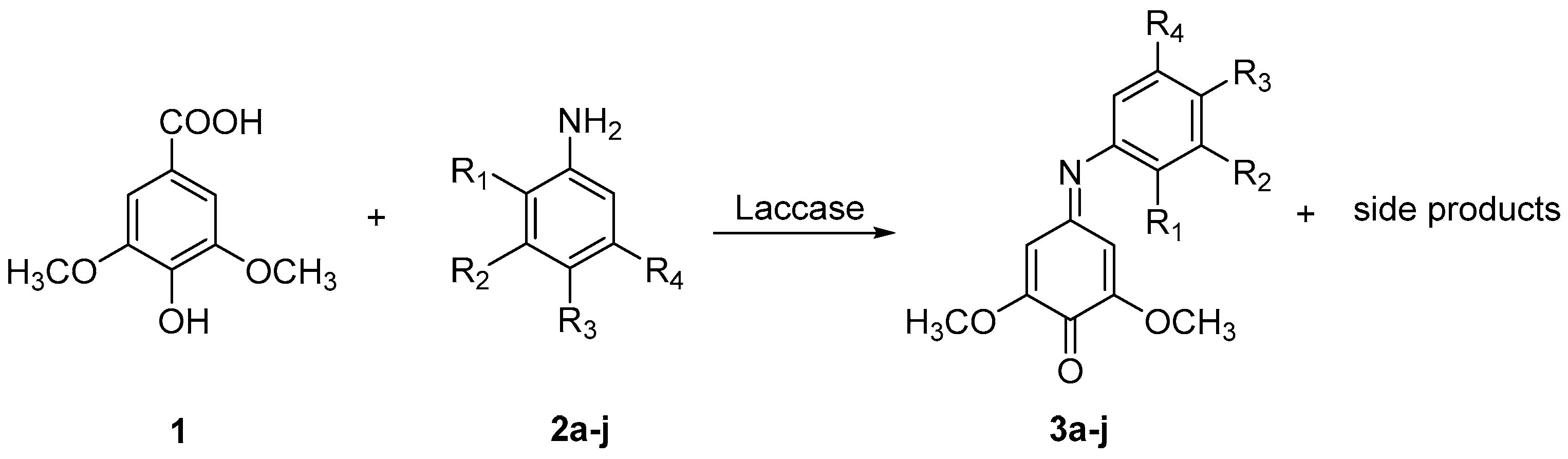 Molecules 24 00706 sch001 Molecules 24 00706 sch001