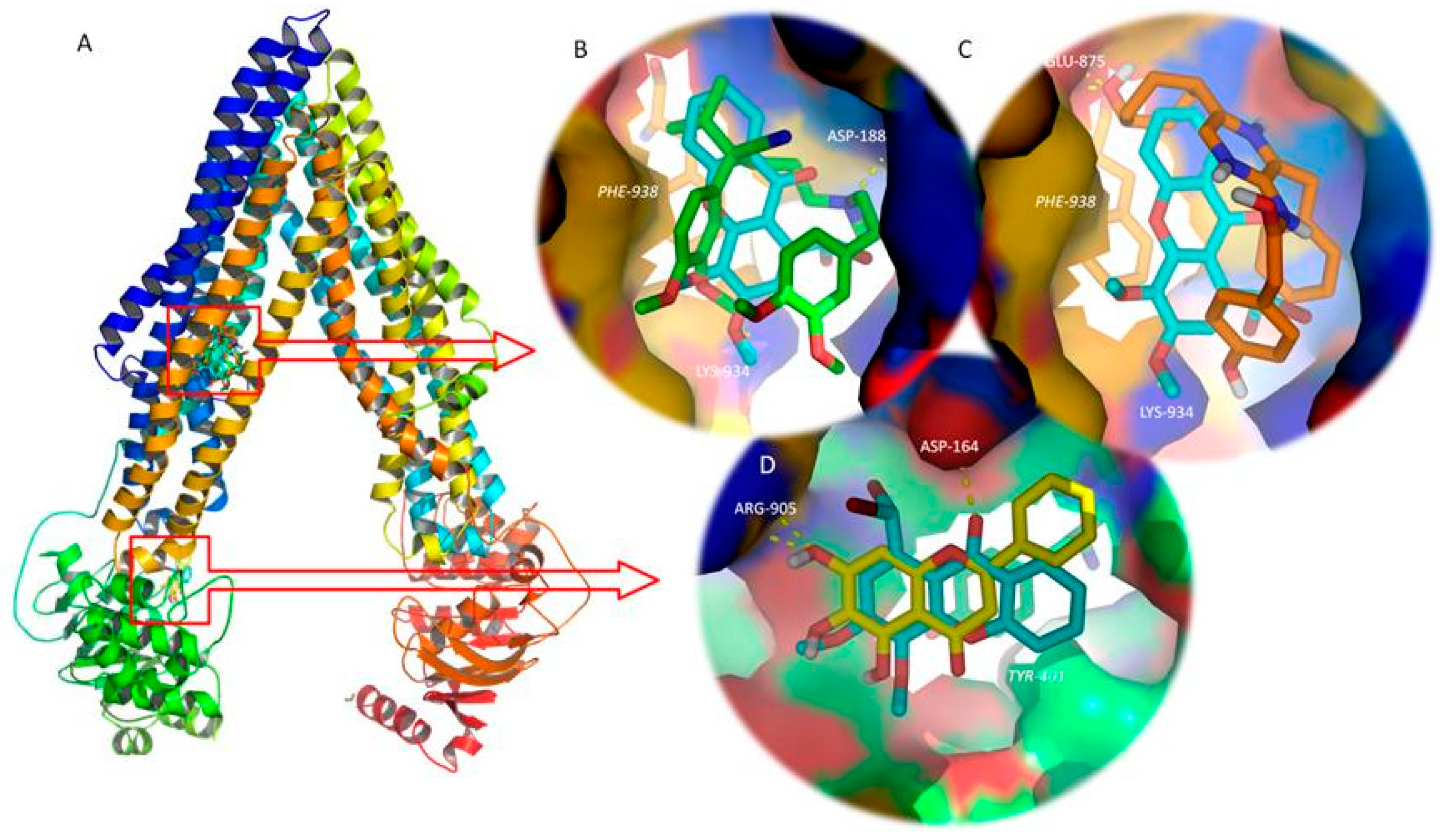 Molecules 24 00707 g009