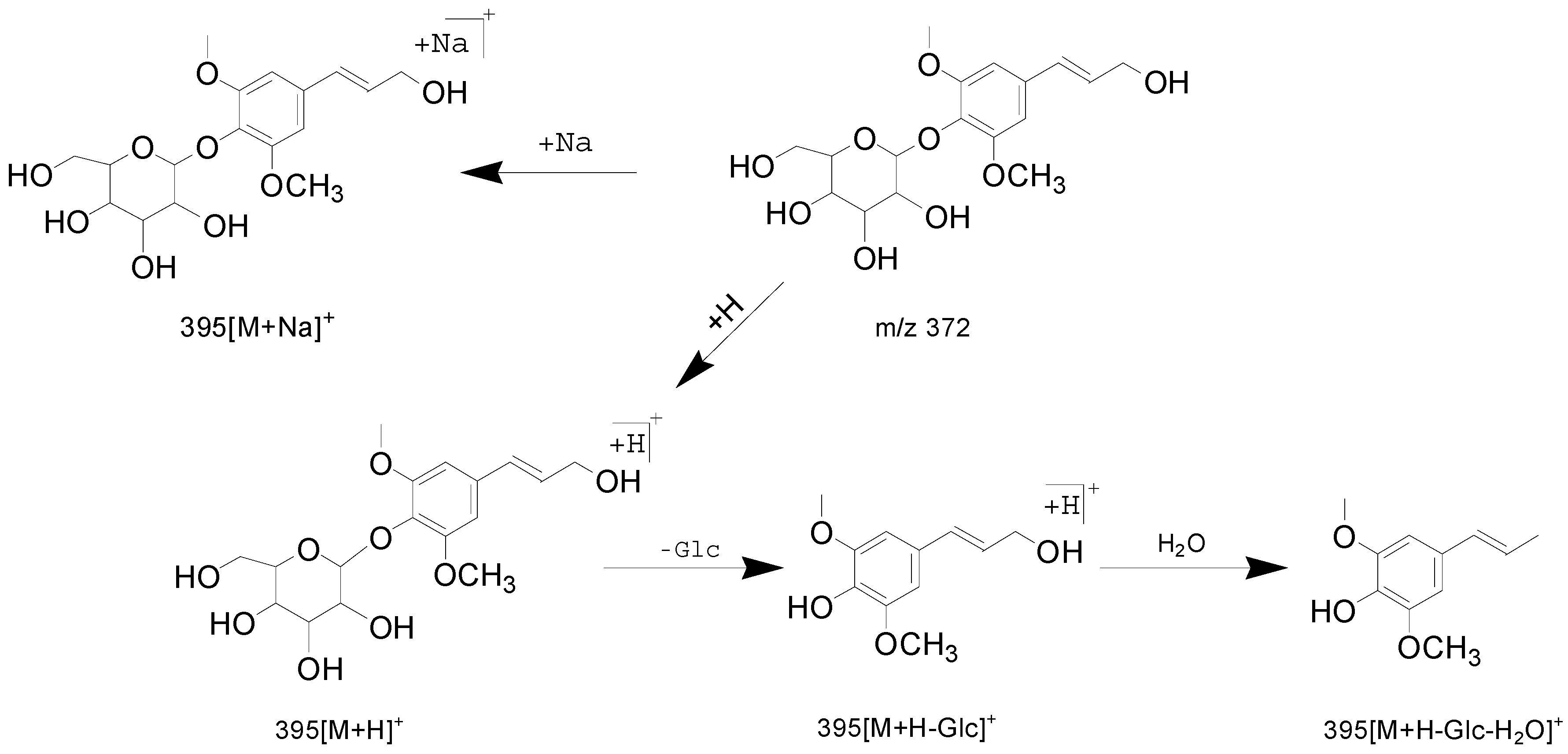 Molecules 24 00709 sch002