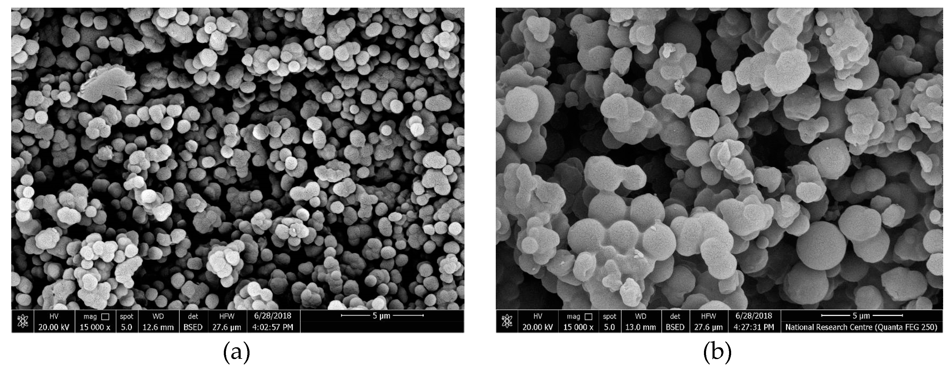 Molecules 24 00712 g002