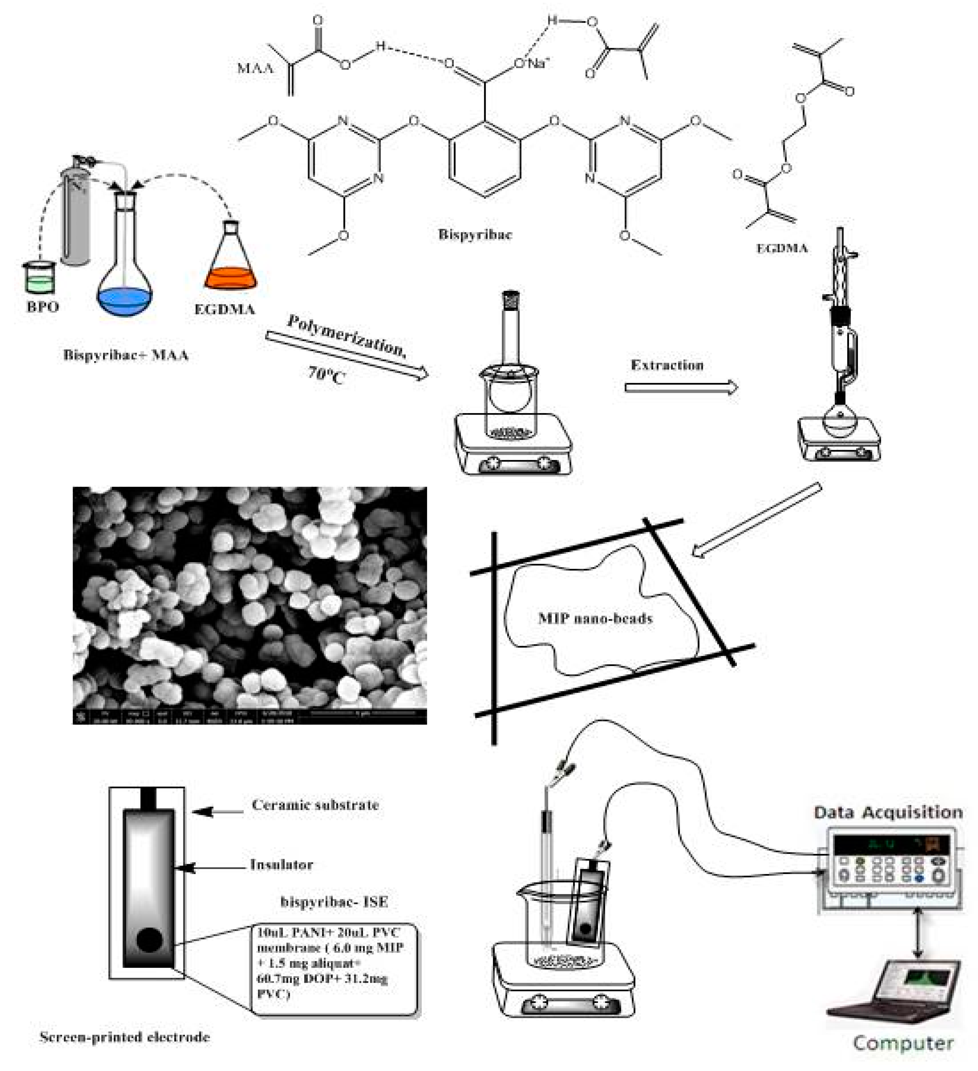 Molecules 24 00712 g007