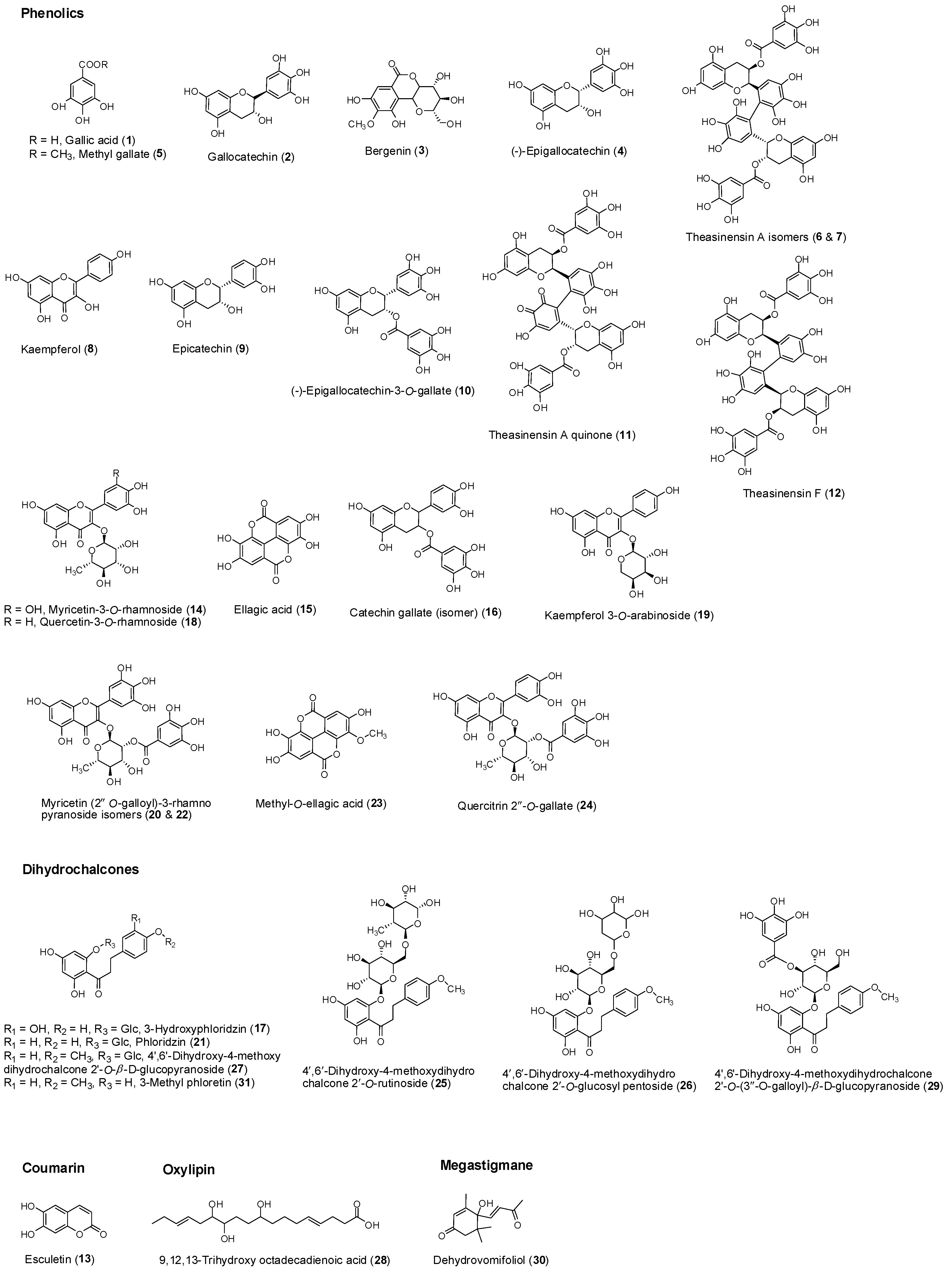 Molecules 24 00714 g002 Molecules 24 00714 g002