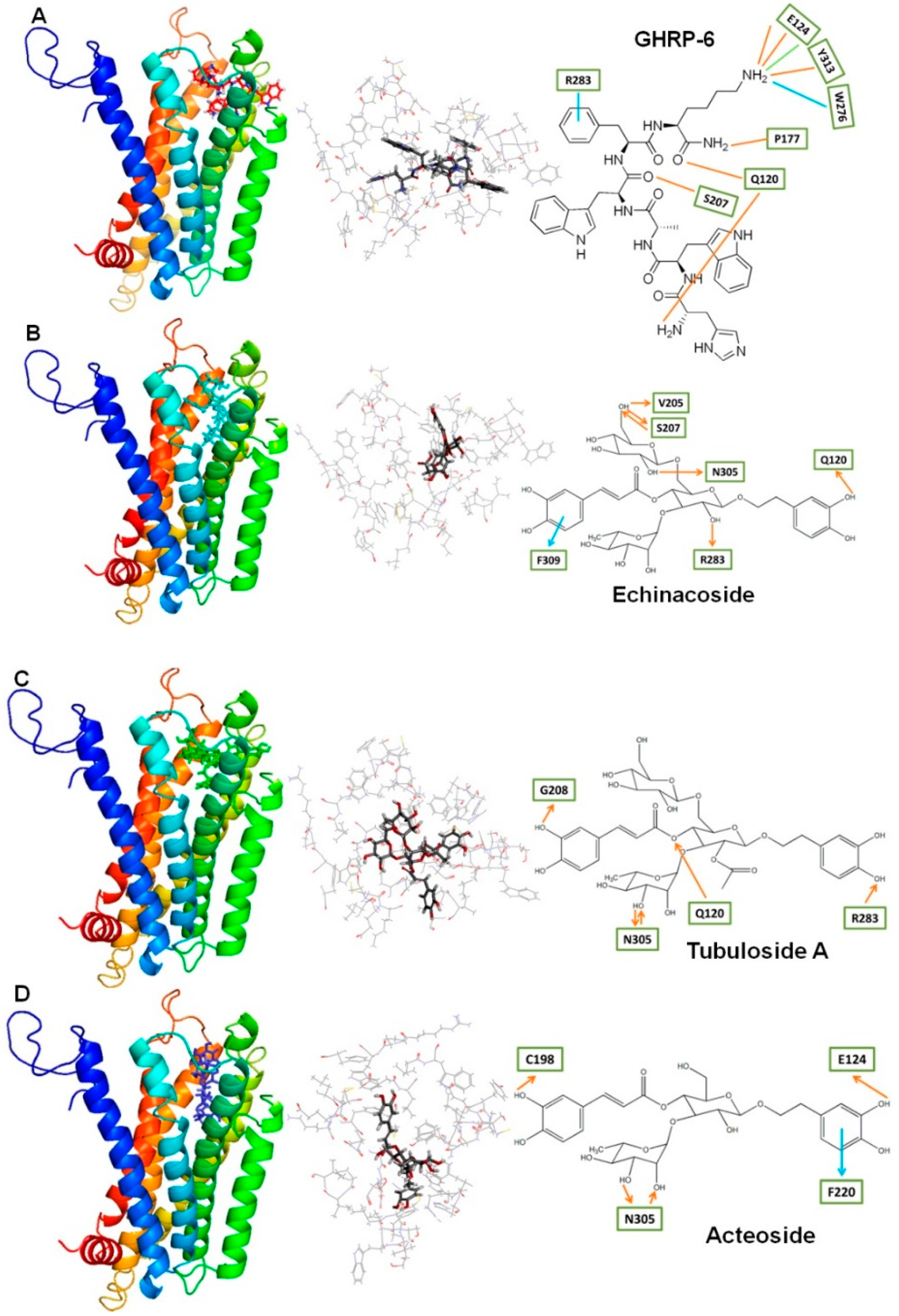 Molecules 24 00720 g005 Molecules 24 00720 g005