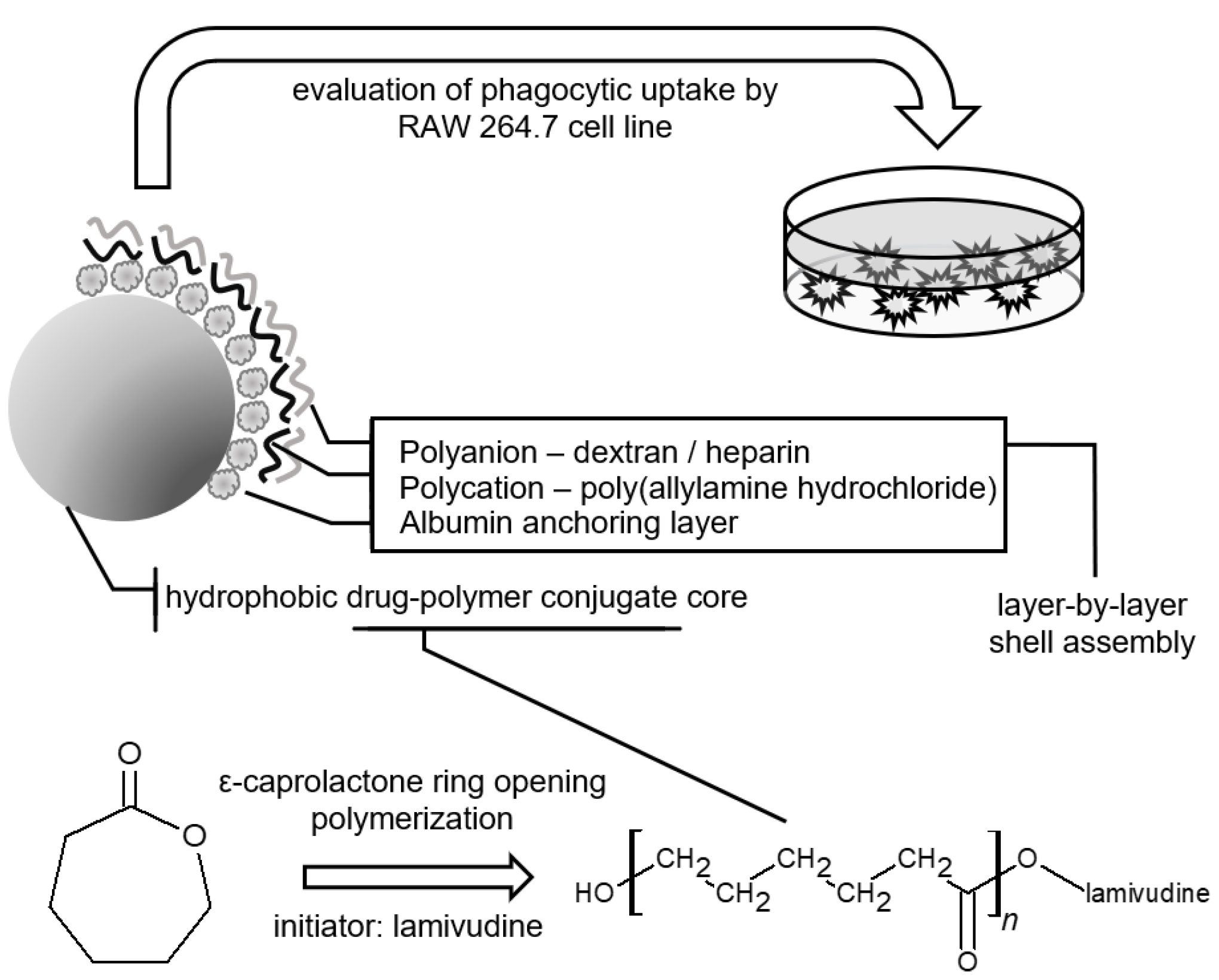 Molecules 24 00723 g001