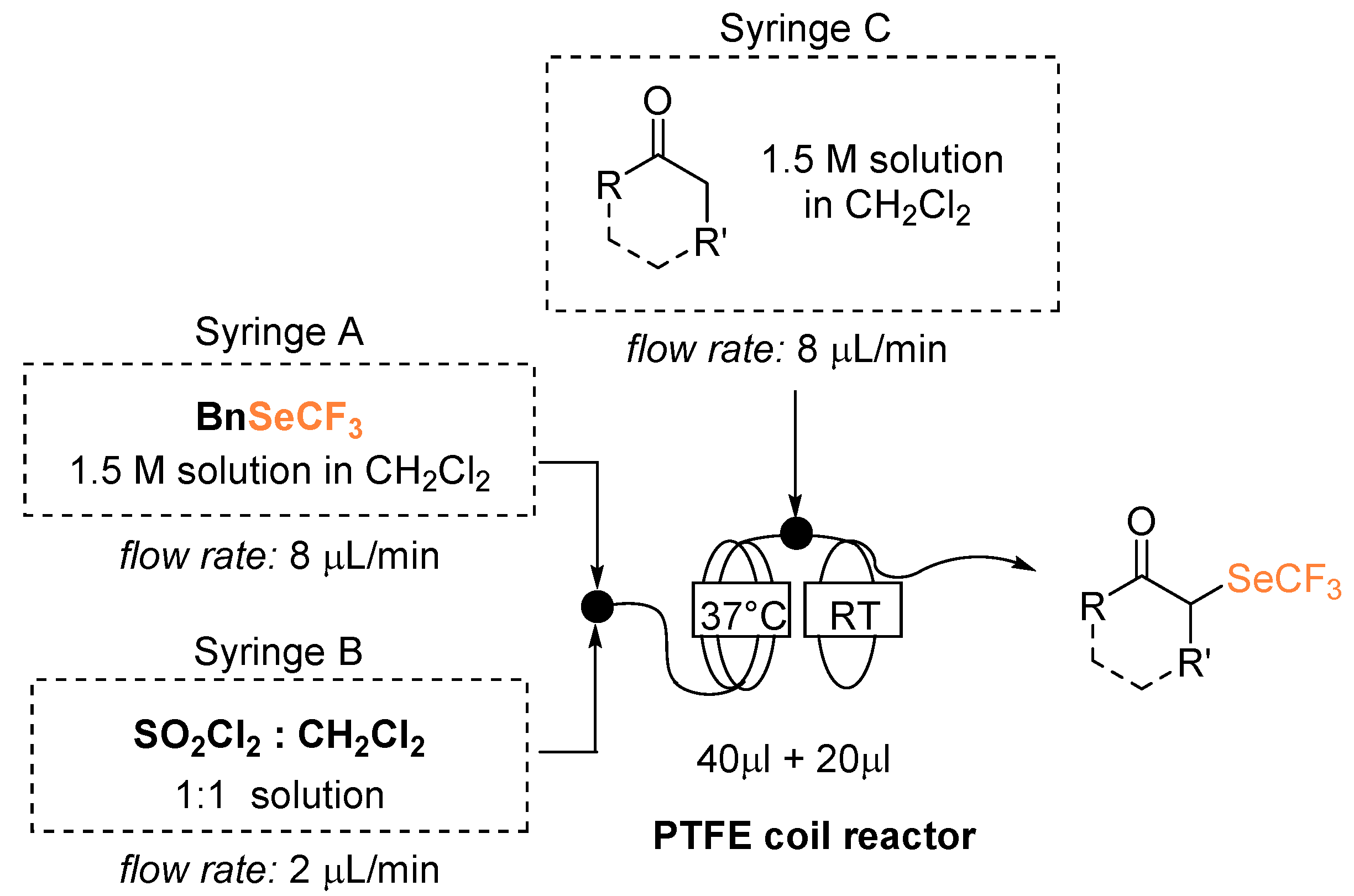 Molecules 24 00726 g001