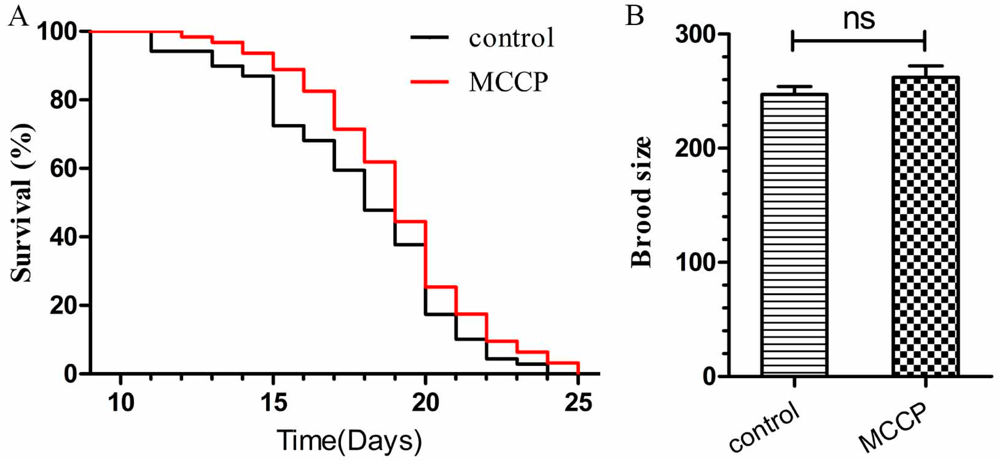 Molecules 24 00729 g005 Molecules 24 00729 g005