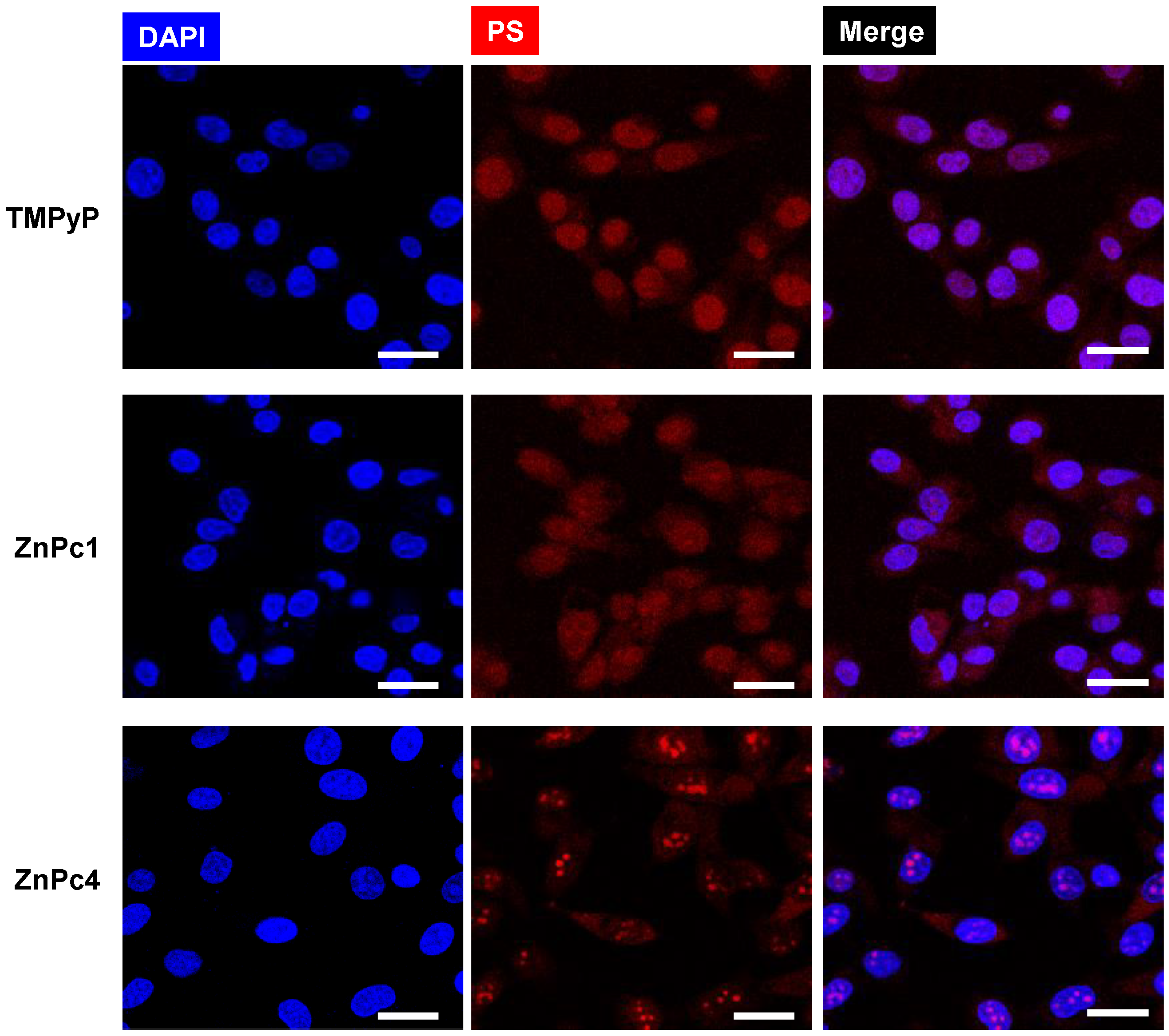 Molecules 24 00733 g012