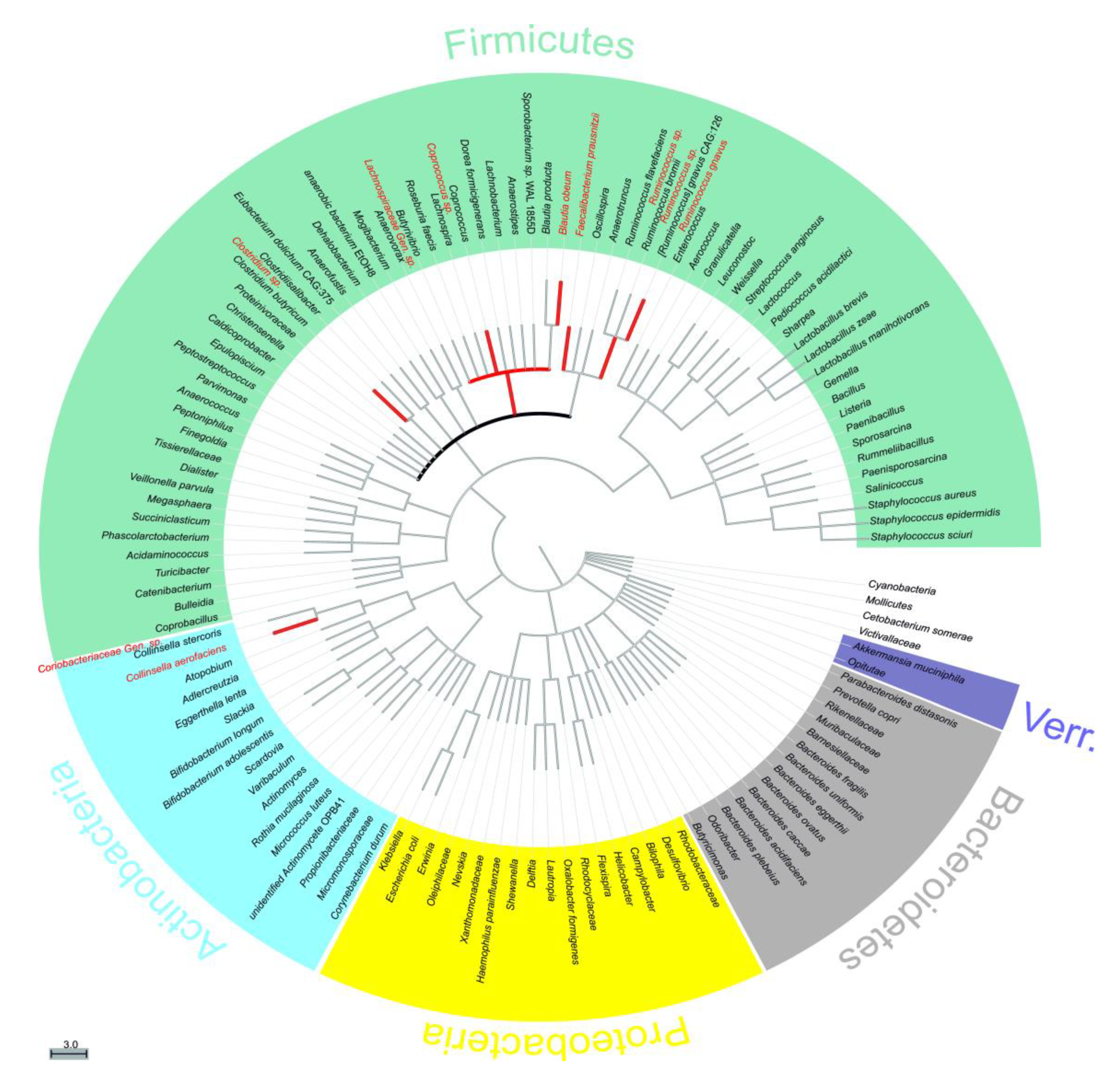 Molecules 24 00744 g003 Molecules 24 00744 g003