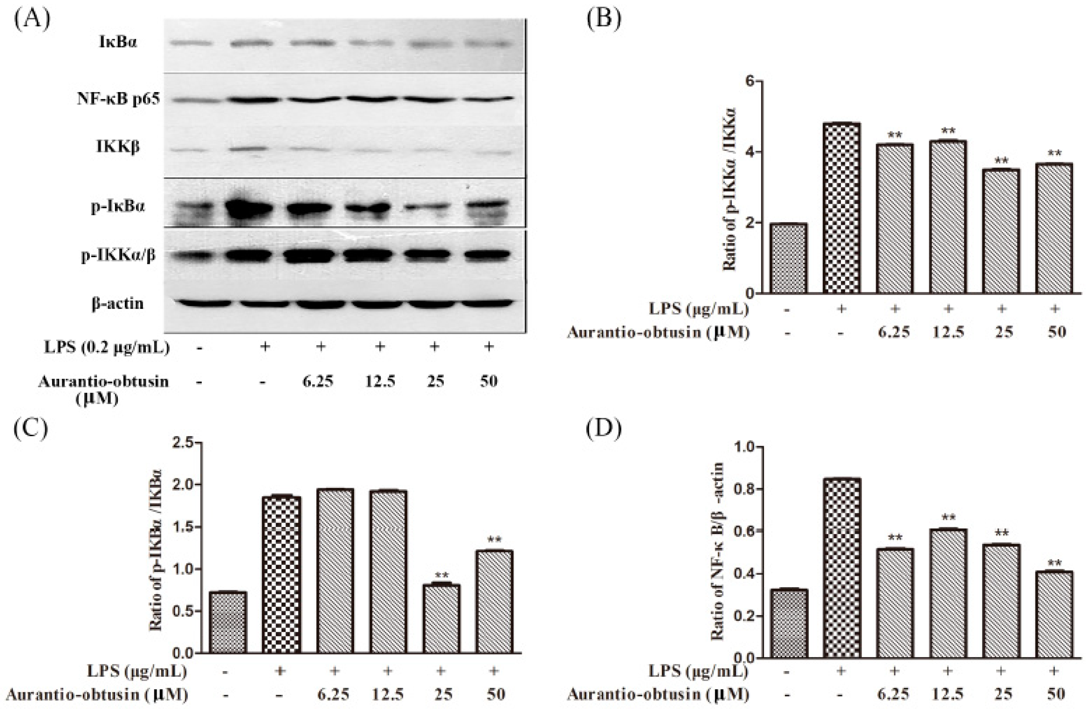 Molecules 24 00745 g006