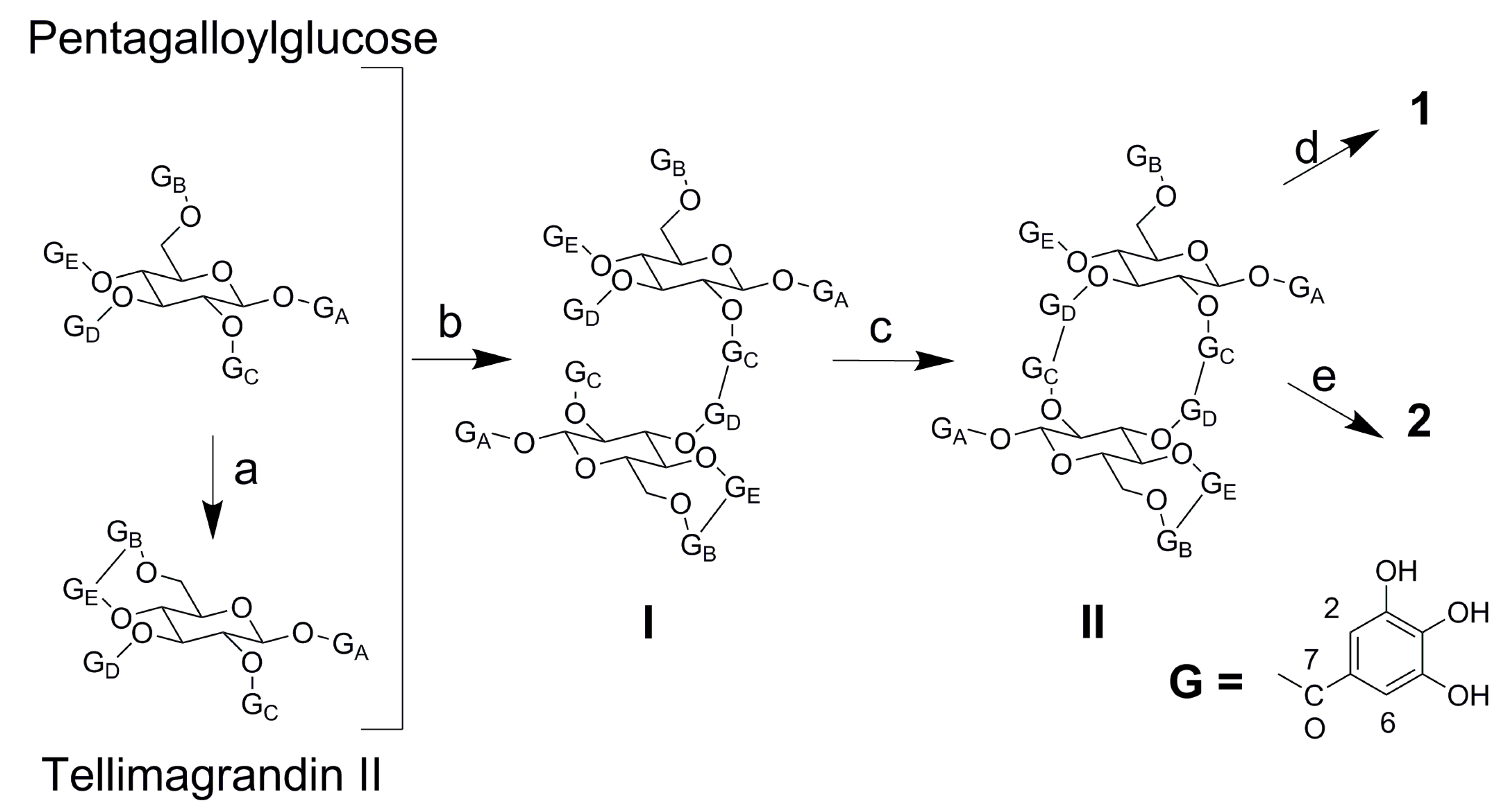 Molecules 24 00746 g003