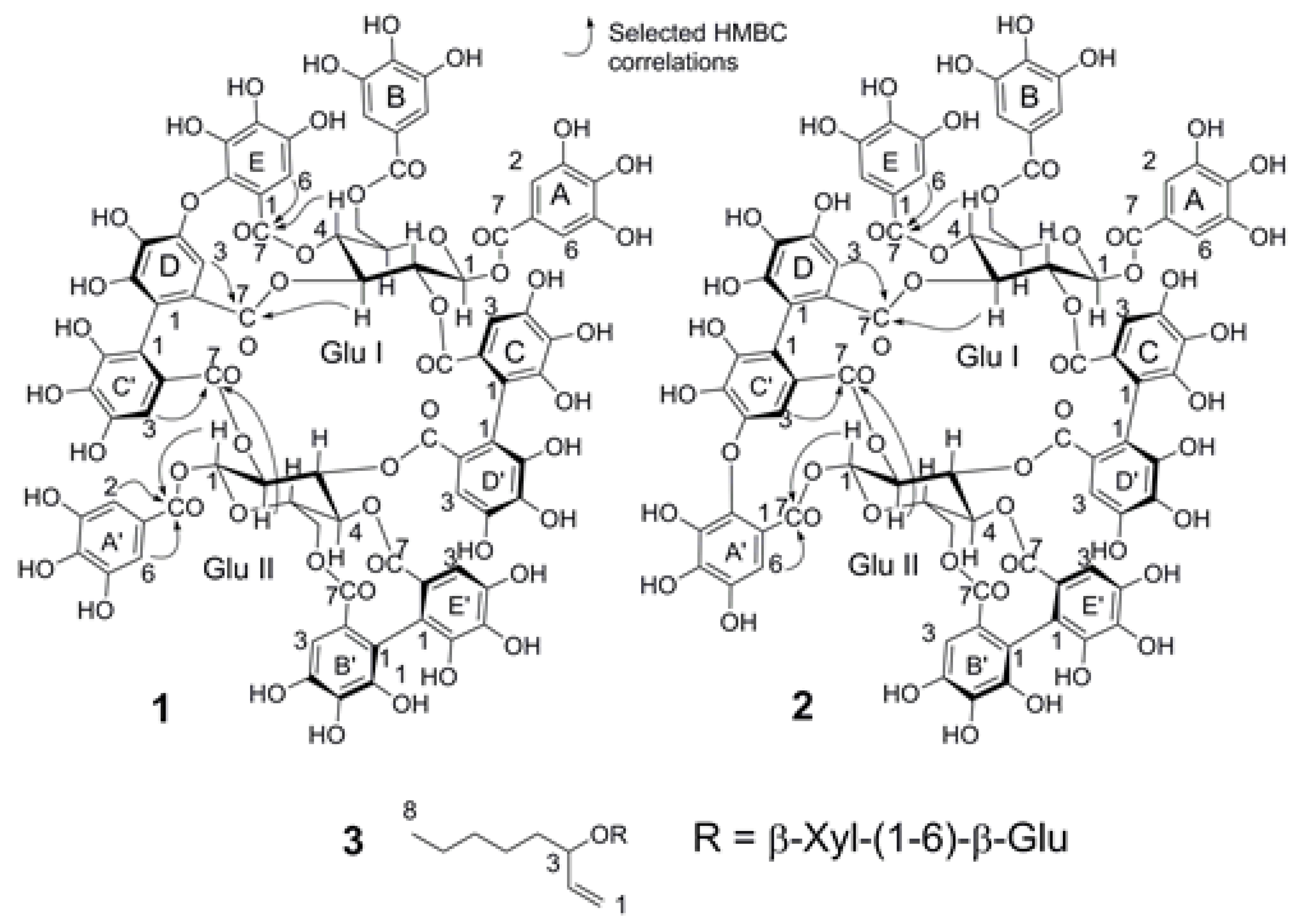 Molecules 24 00746 g004