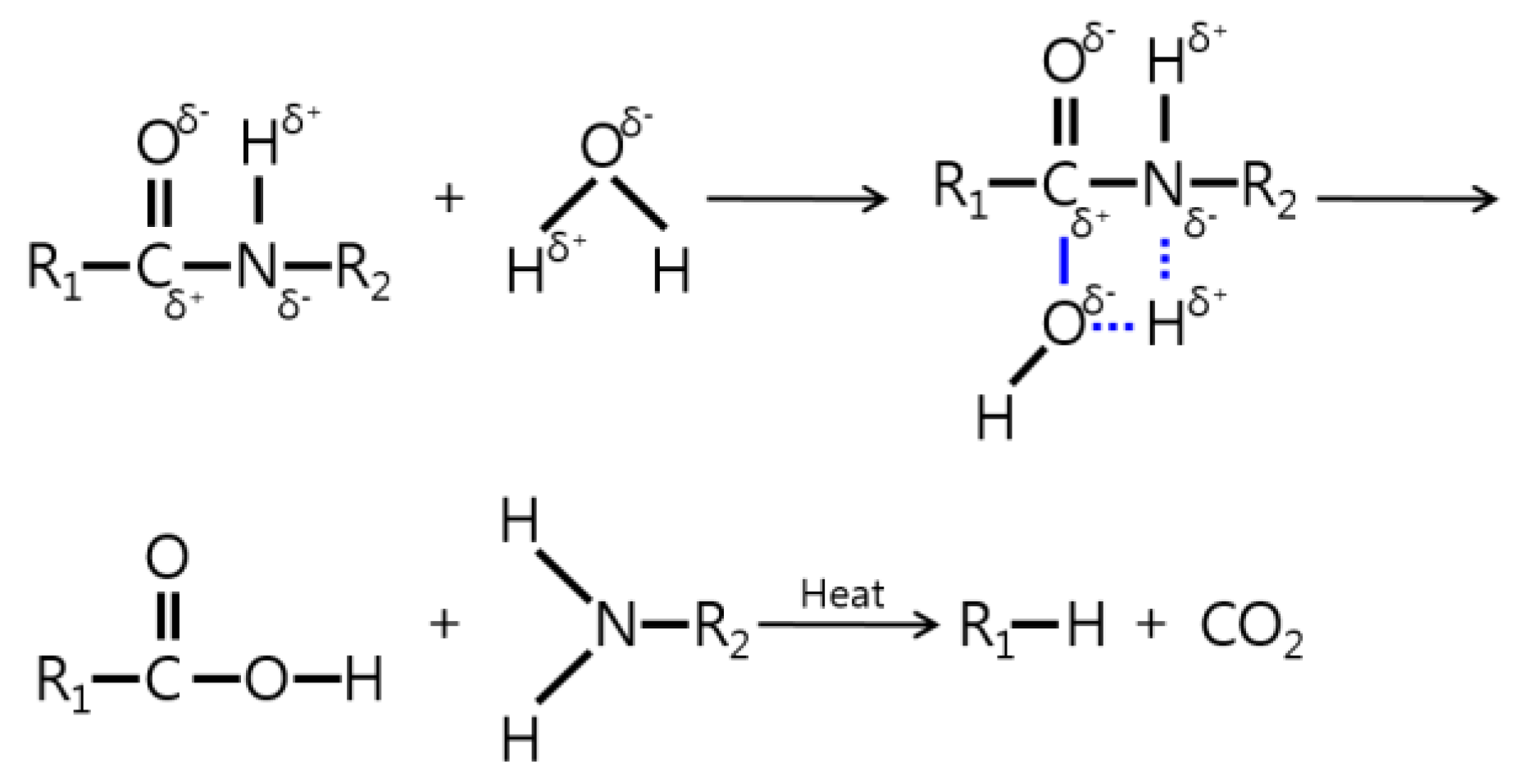 Molecules 24 00755 g002