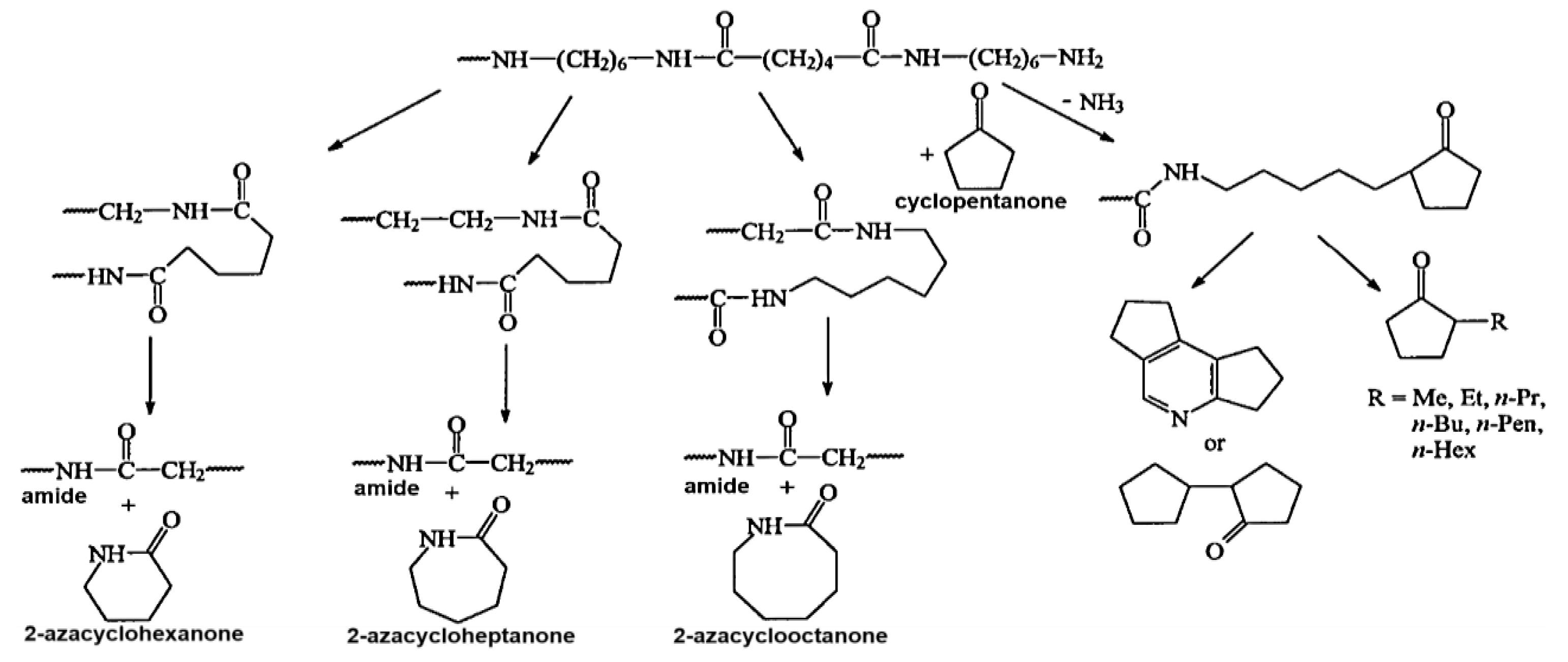 Molecules 24 00755 g003