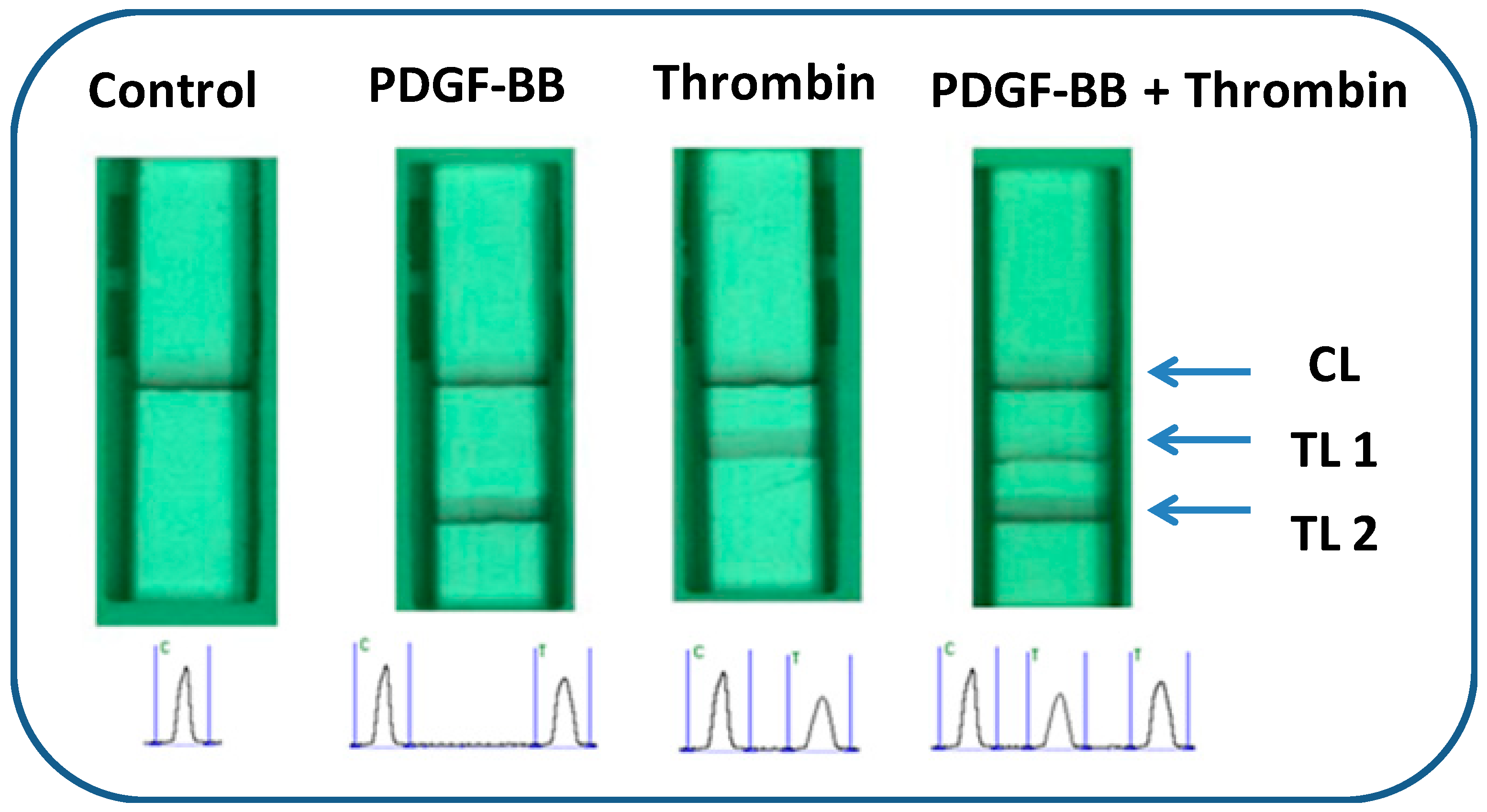 Molecules 24 00756 g002