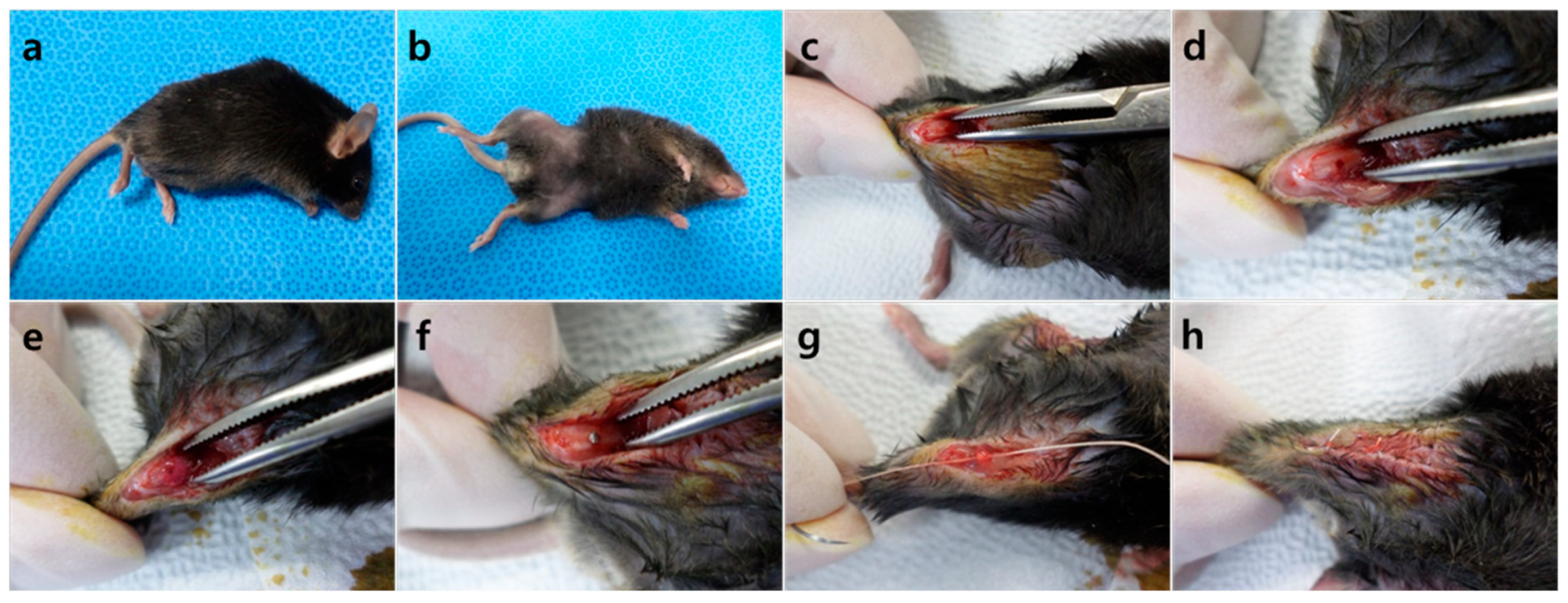 Molecules 24 00760 g004