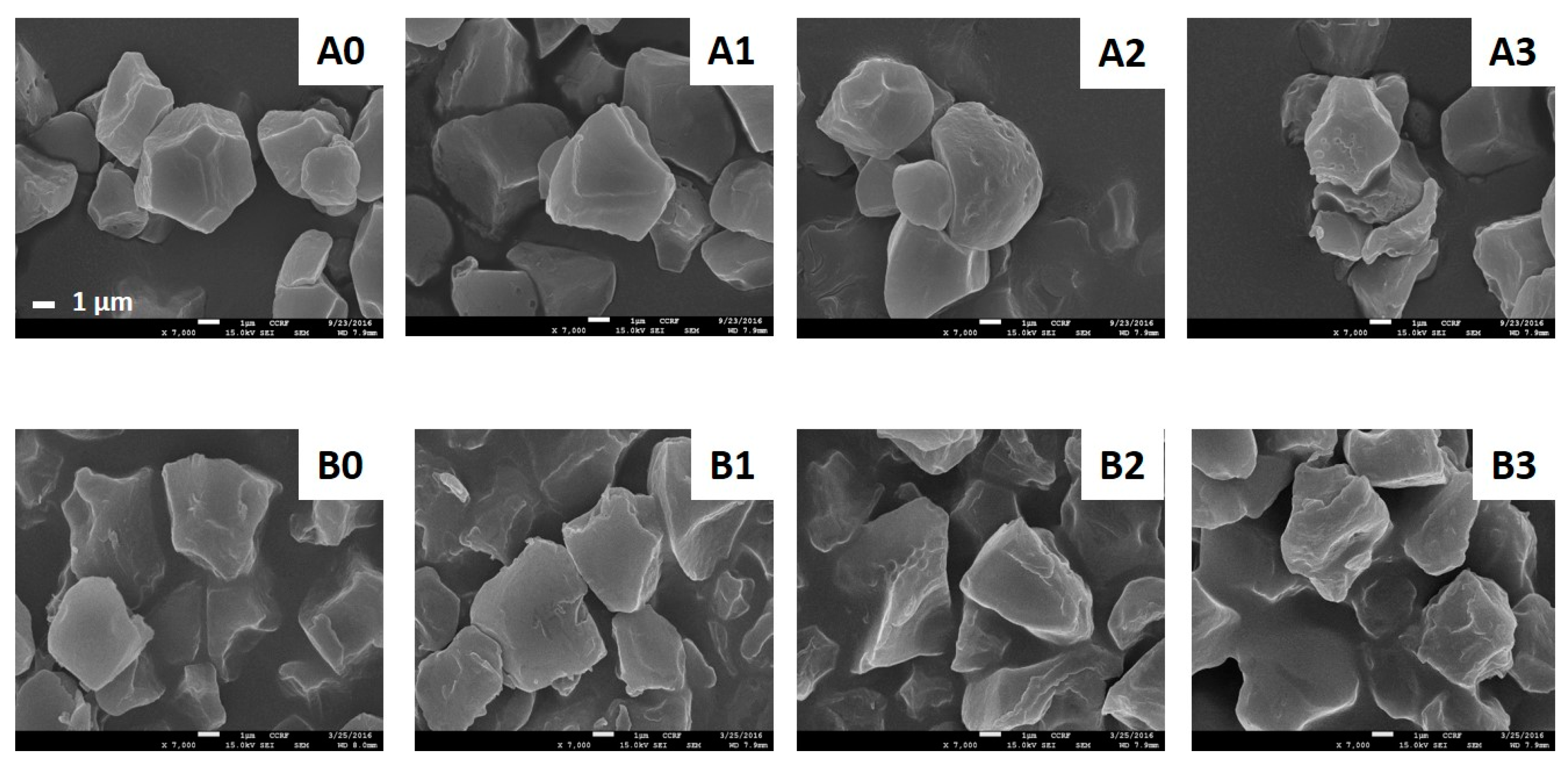 Molecules 24 00765 g002