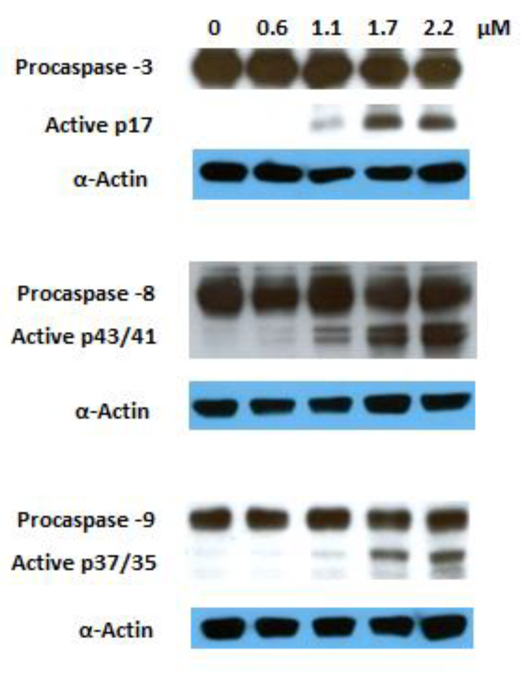 Molecules 24 00766 g006