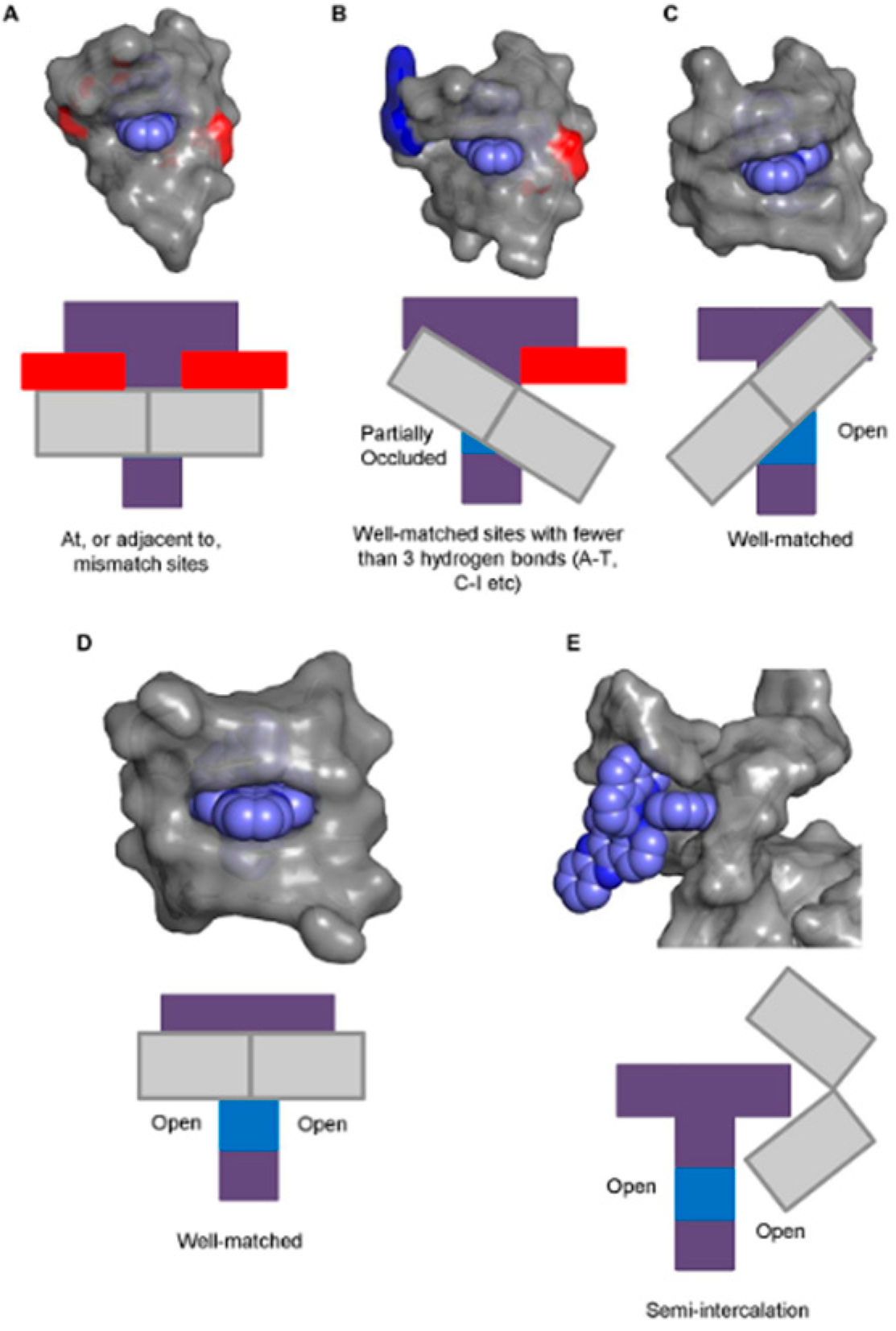 Molecules 24 00769 g006