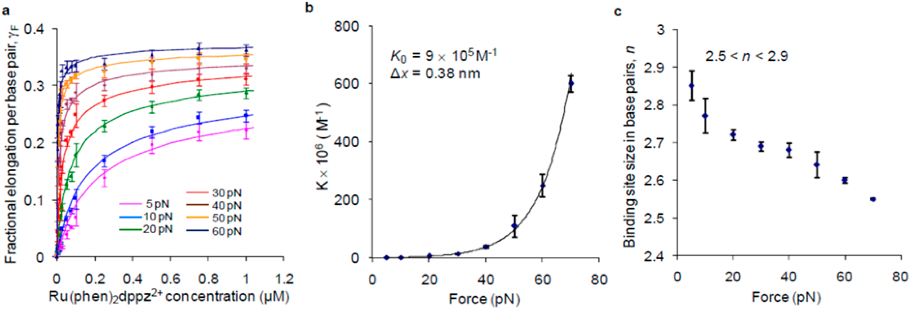 Molecules 24 00769 g007