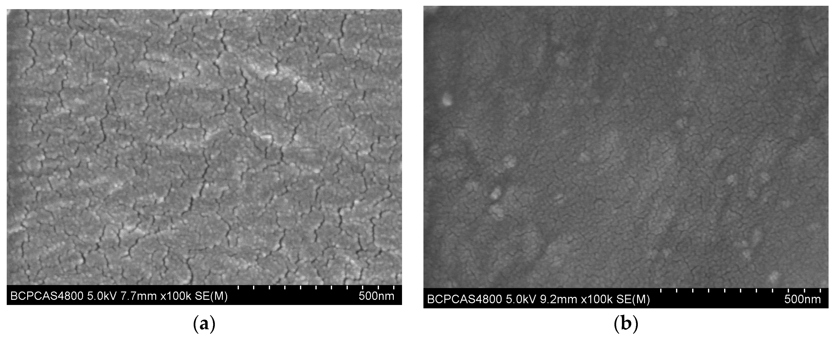 Molecules 24 00780 g002 Molecules 24 00780 g002