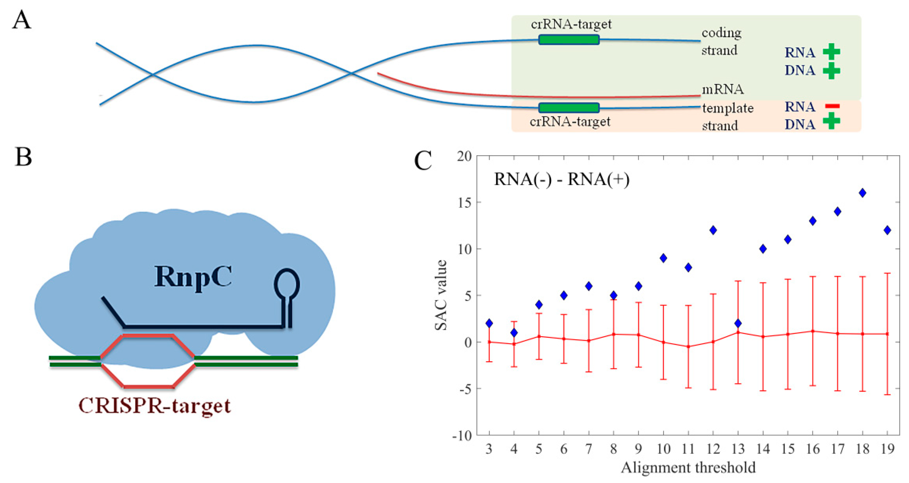 Molecules 24 00784 g005
