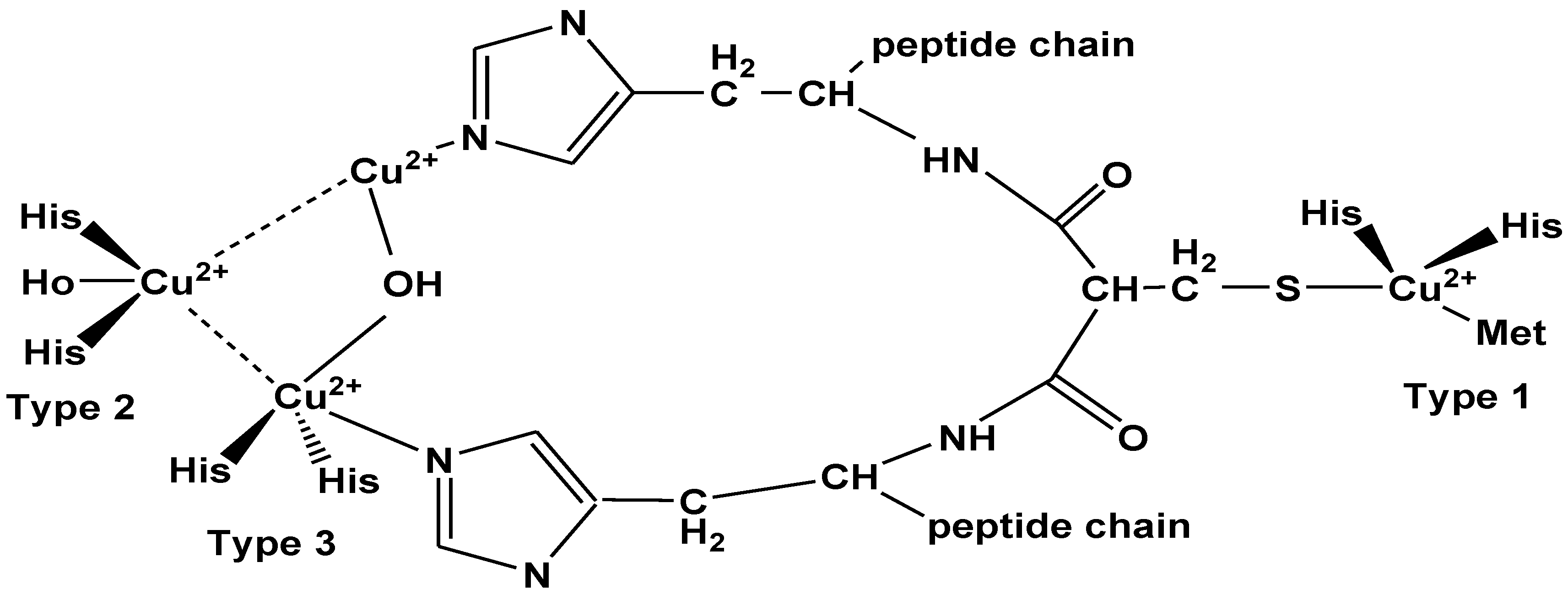 Molecules 24 00786 g005