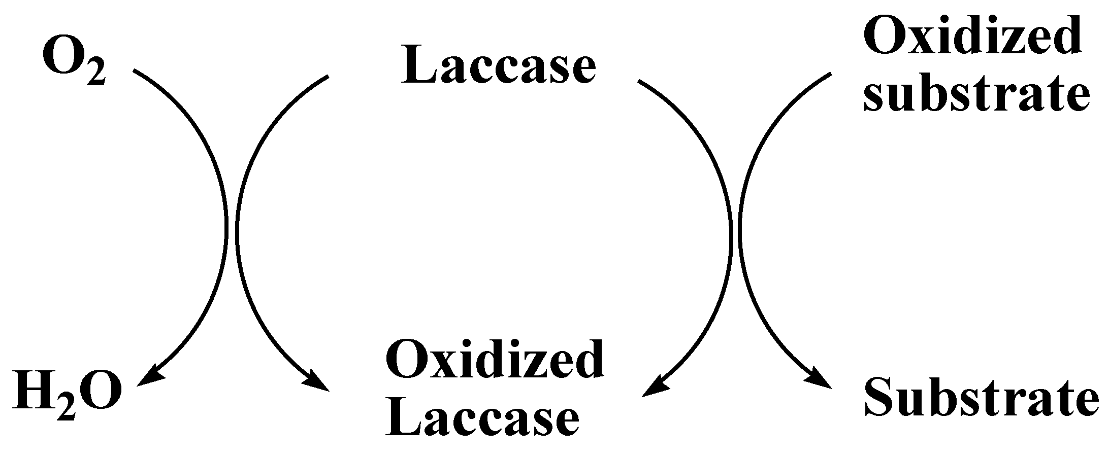 Molecules 24 00786 g006