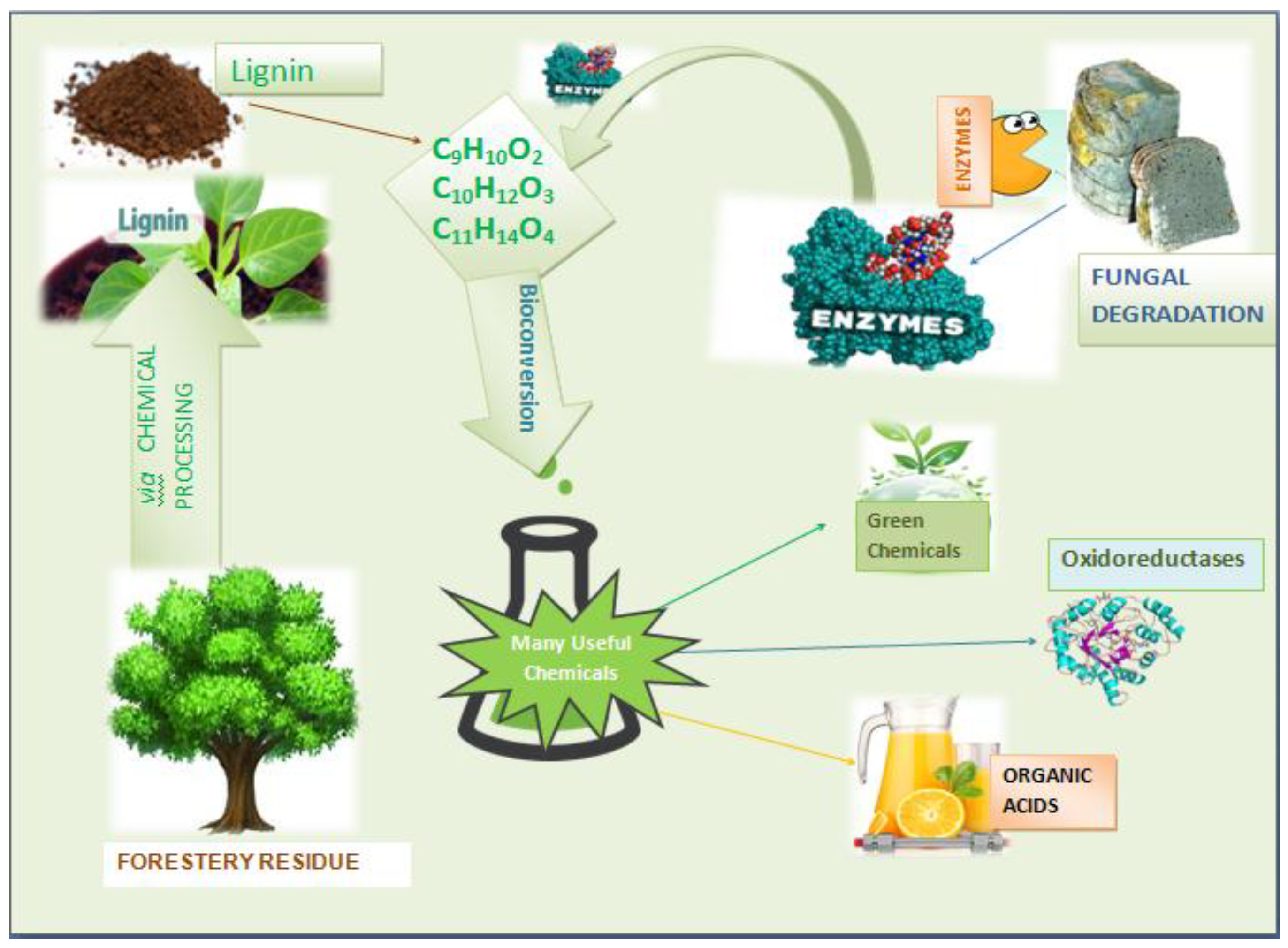 Molecules 24 00786 g010