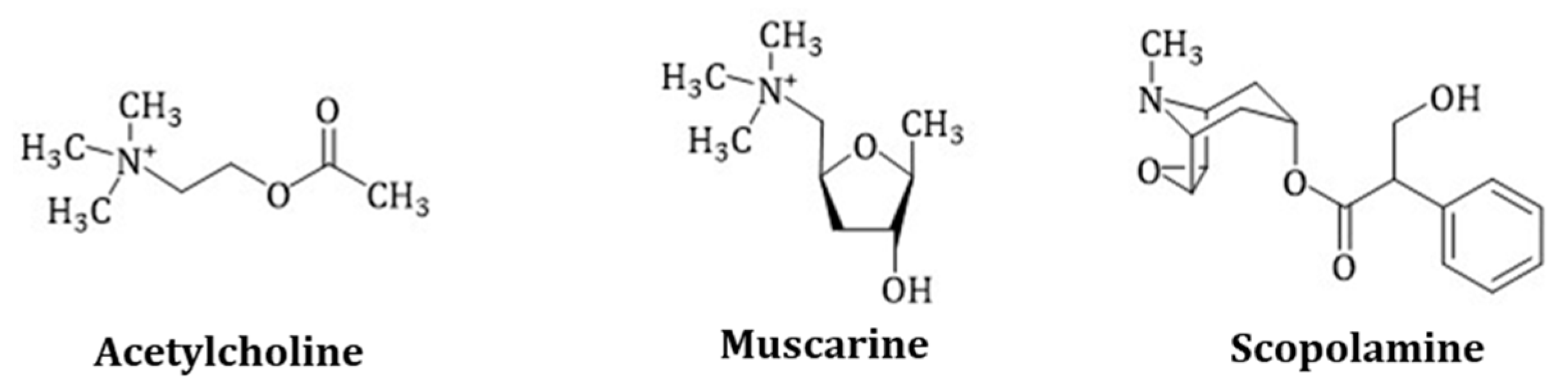 Molecules 24 00796 g002 Molecules 24 00796 g002