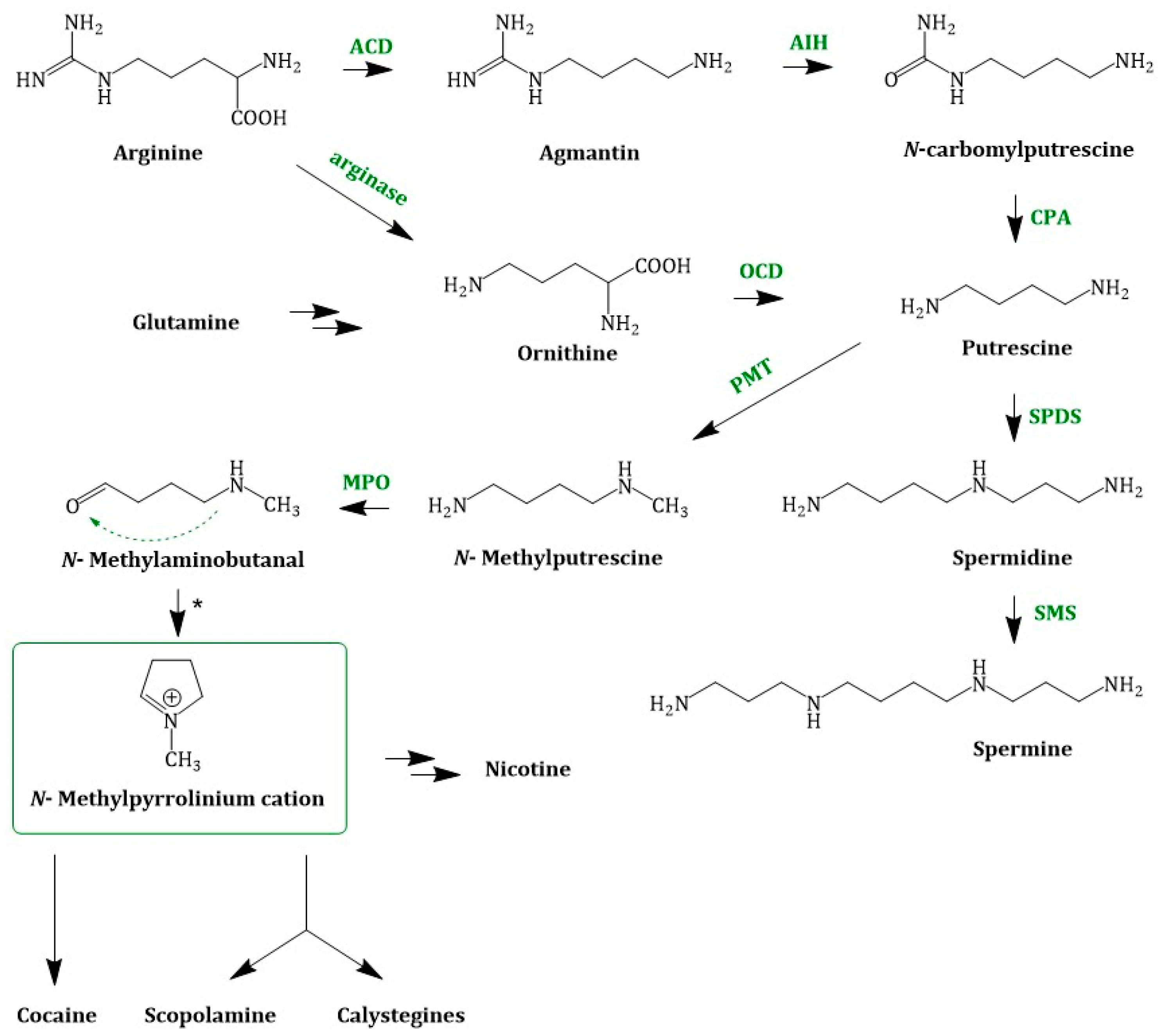 Molecules 24 00796 g003 Molecules 24 00796 g003