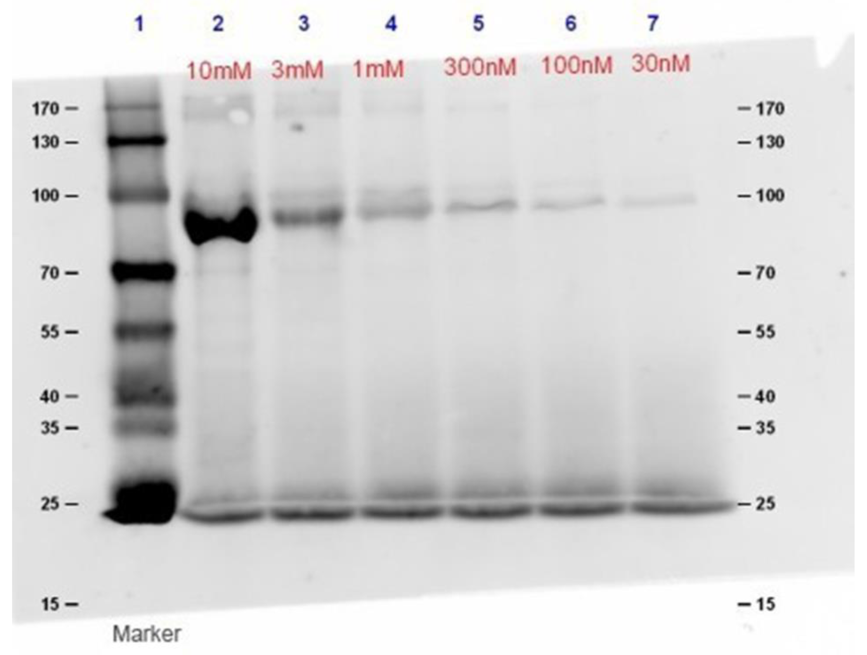 Molecules 24 00798 g003 Molecules 24 00798 g003