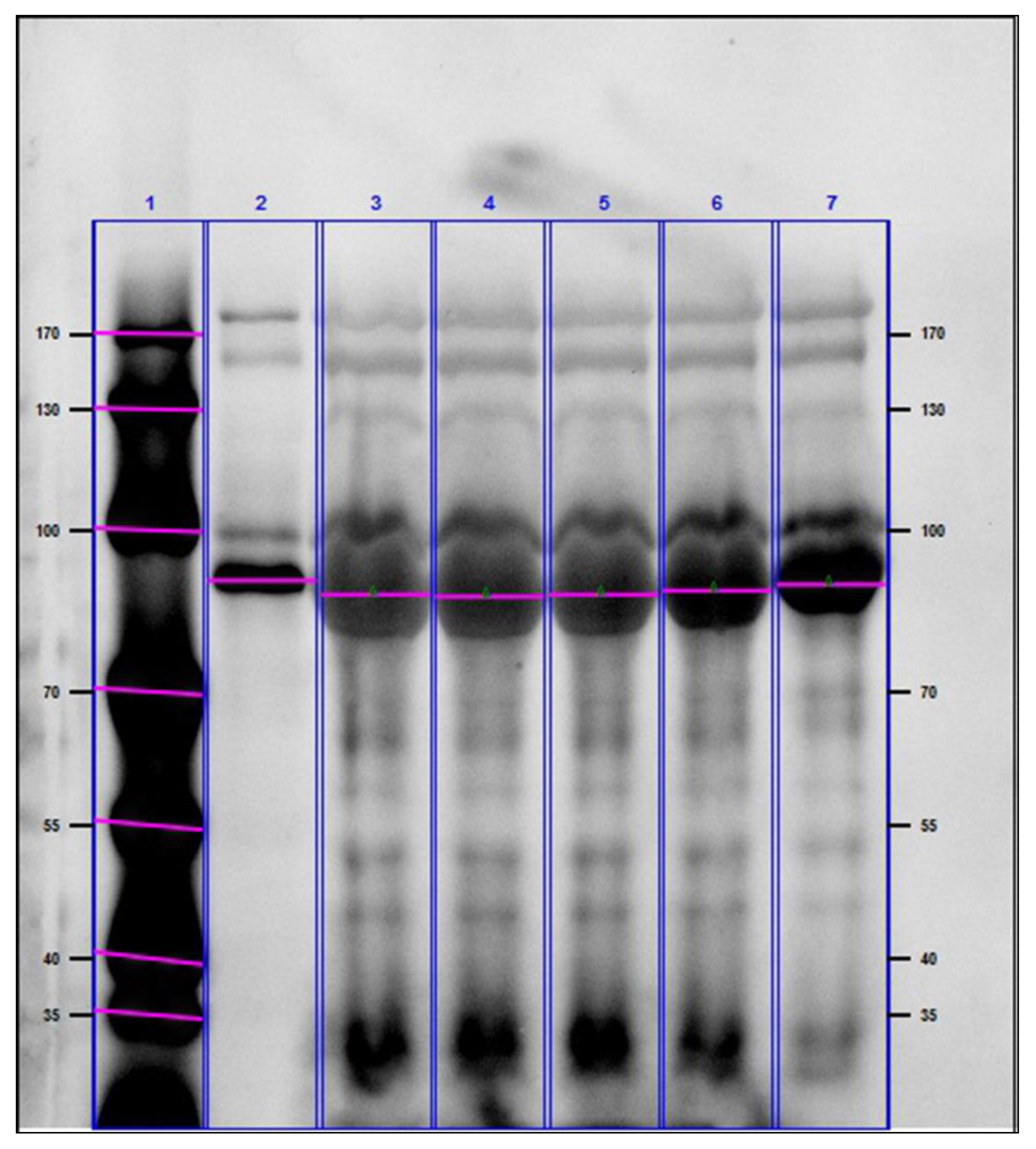 Molecules 24 00798 g004 Molecules 24 00798 g004