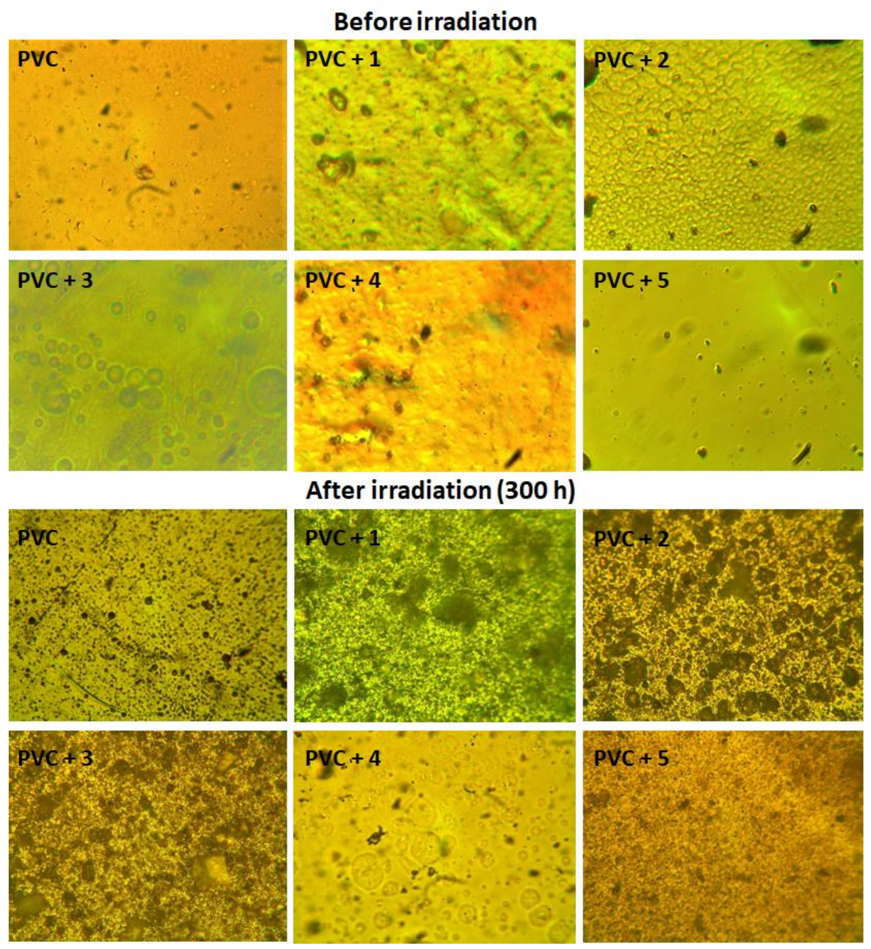 Molecules 24 00803 g010