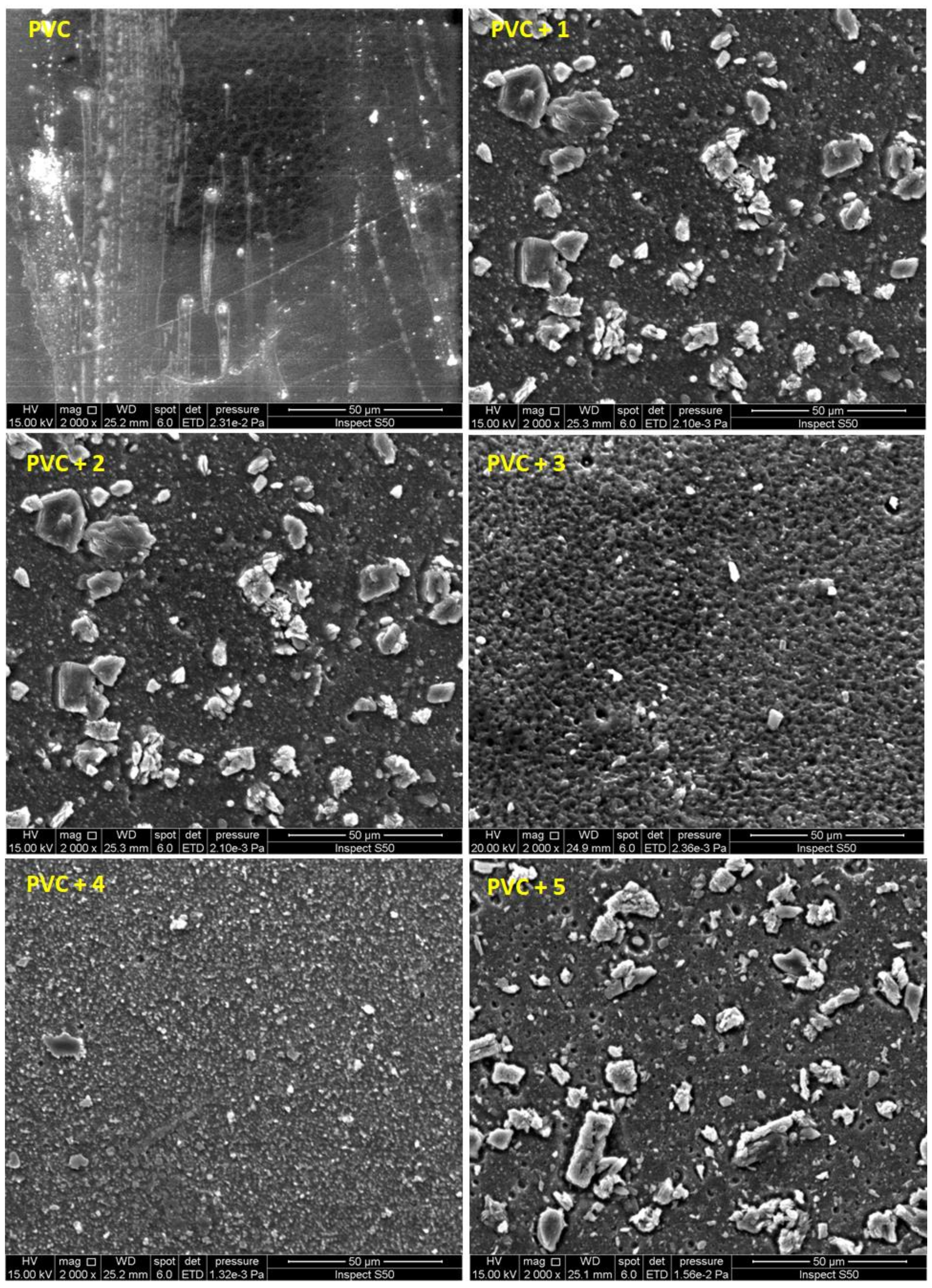Molecules 24 00803 g011