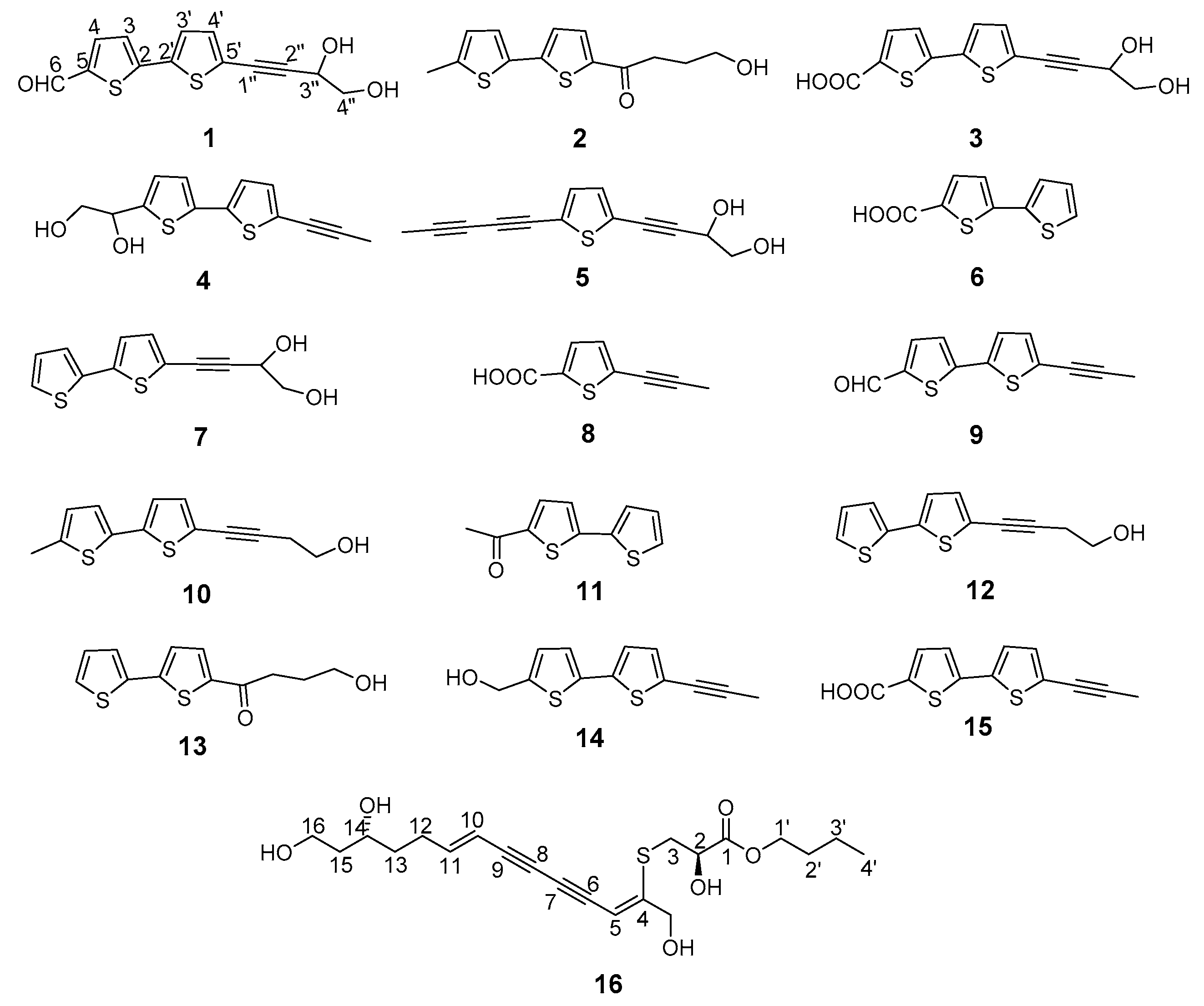 Molecules 24 00805 g001