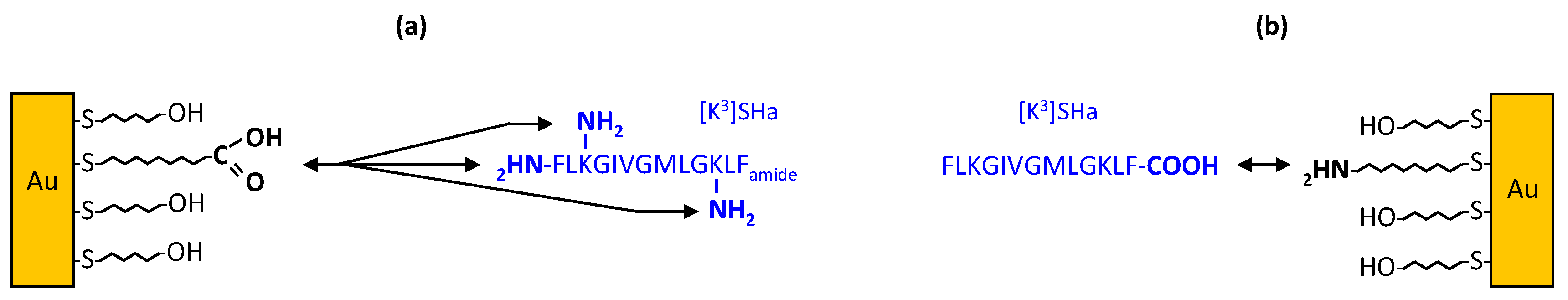 Molecules 24 00814 g001