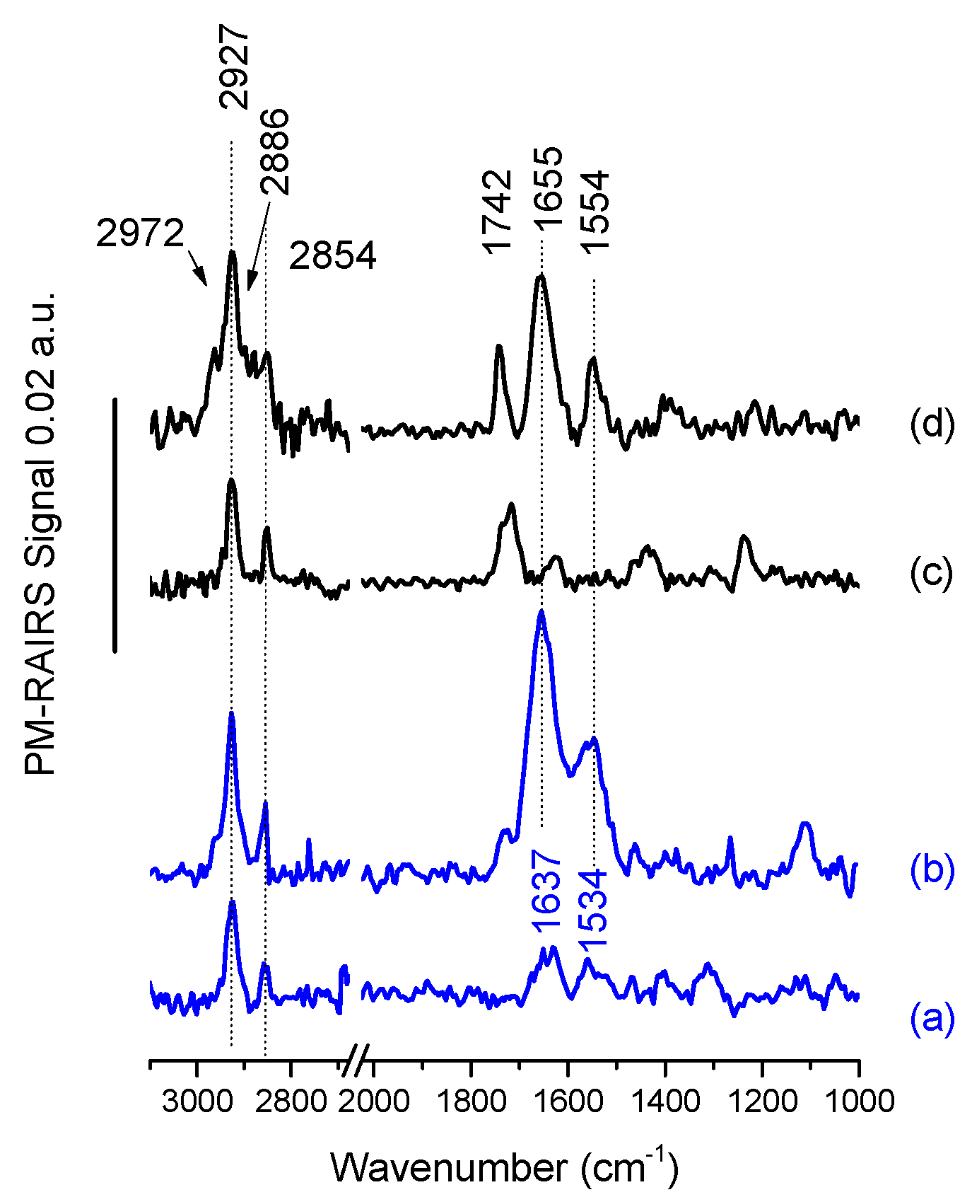 Molecules 24 00814 g002