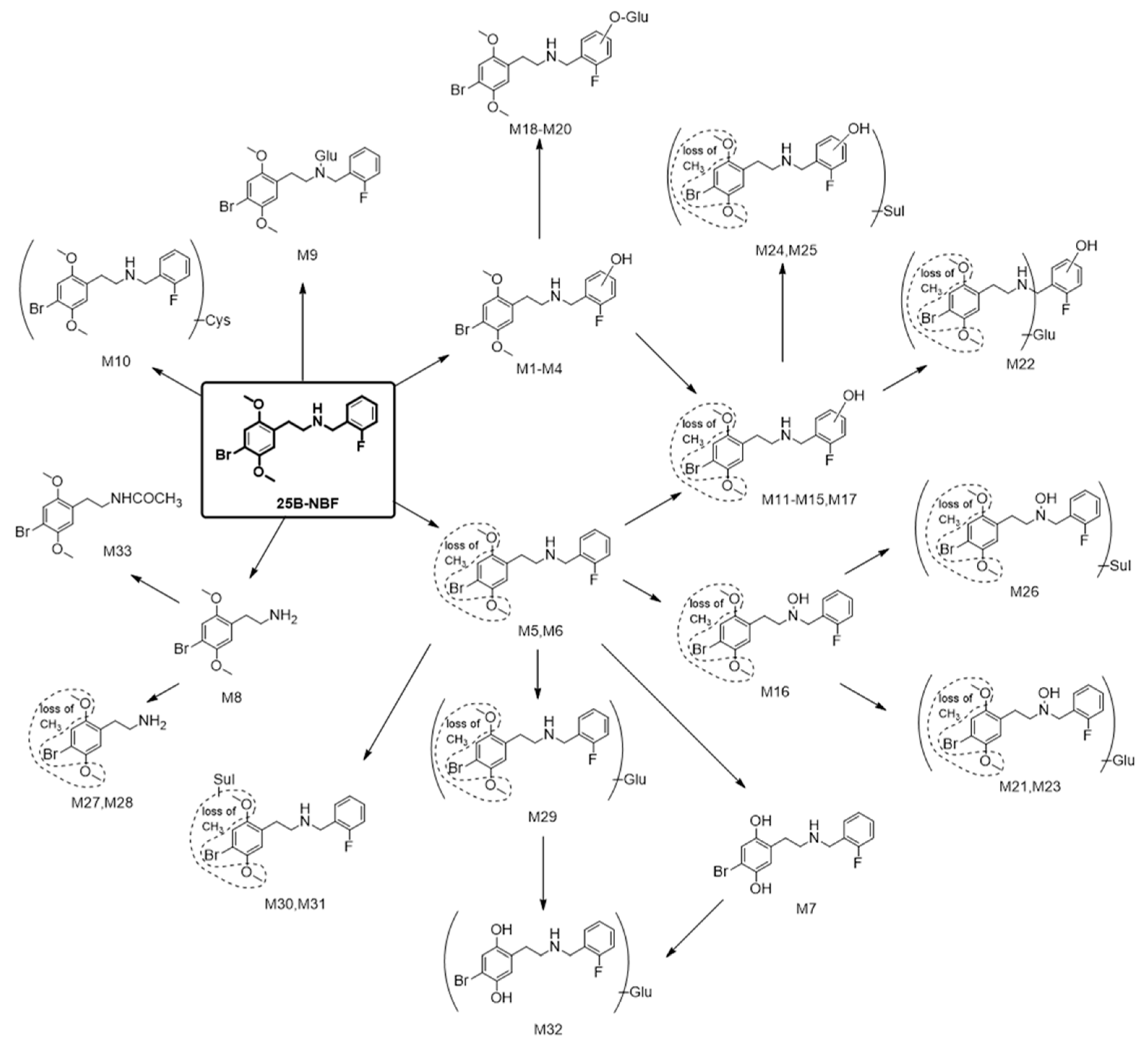 Molecules 24 00818 g005