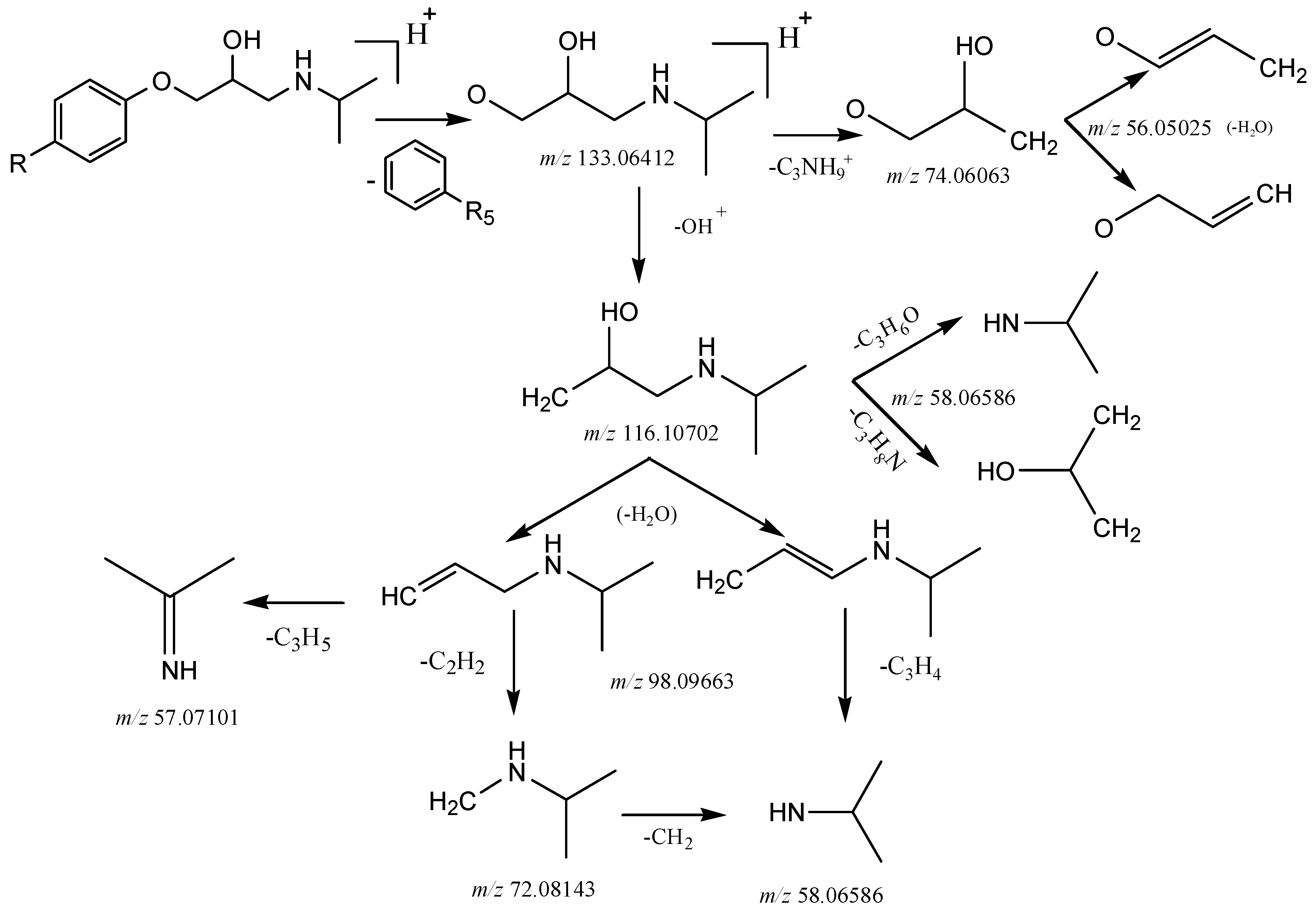 Molecules 24 00820 g004