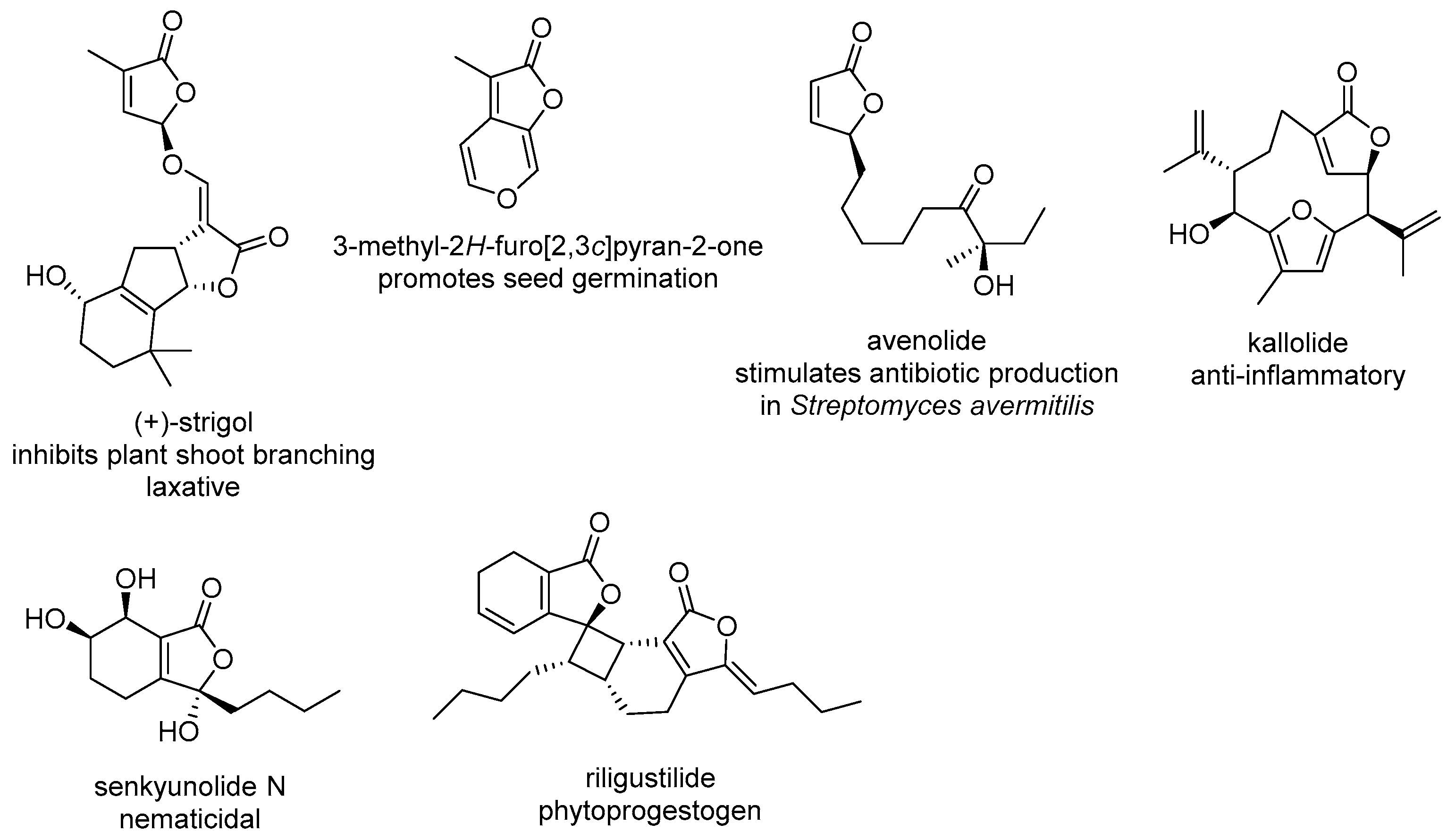 Molecules 24 00824 g002