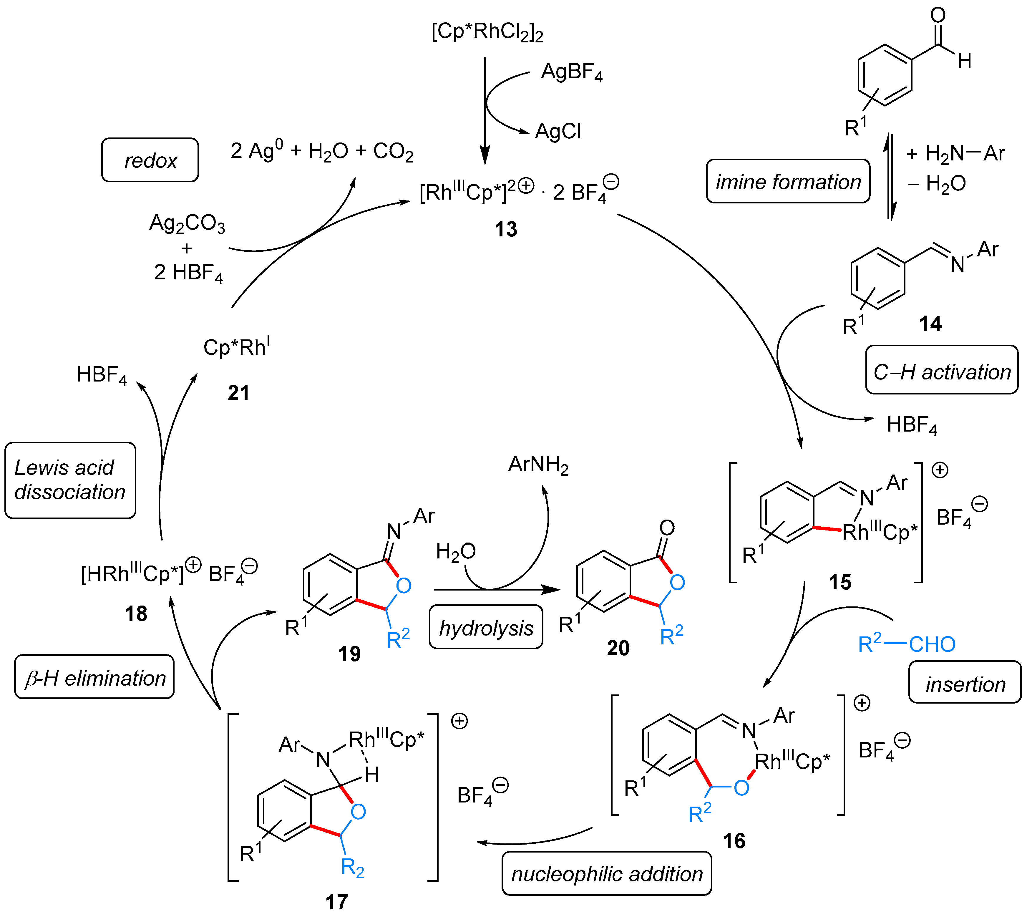 Molecules 24 00824 sch008