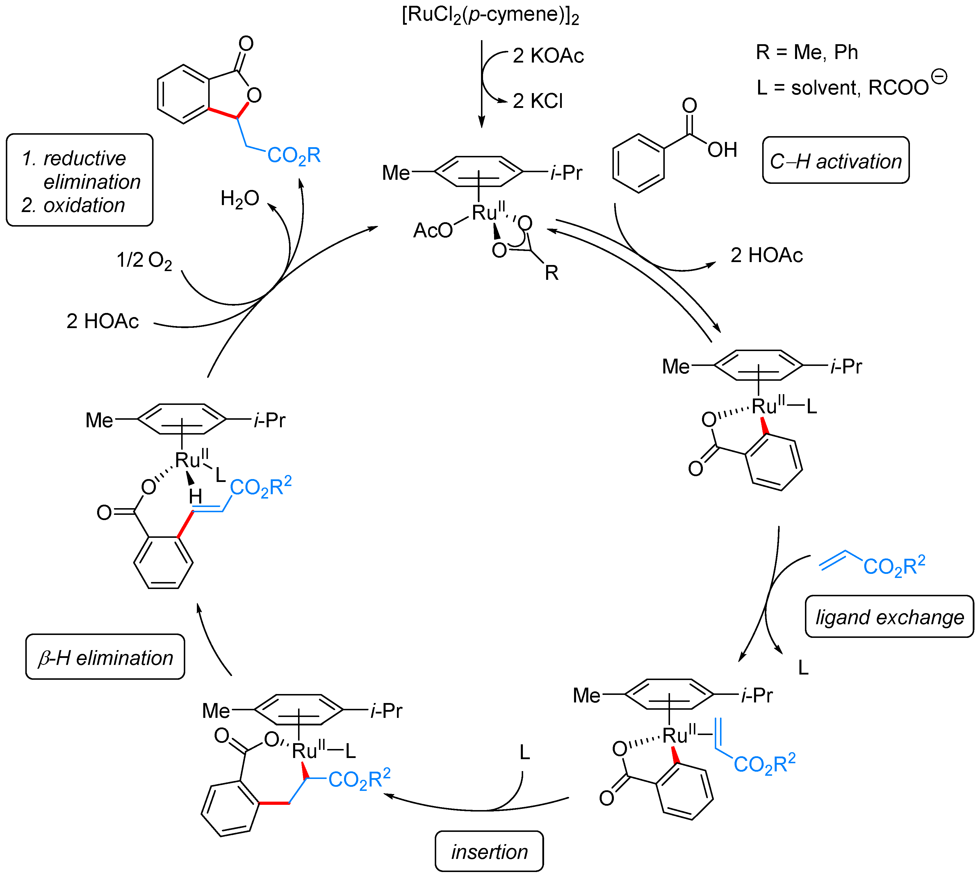 Molecules 24 00824 sch021