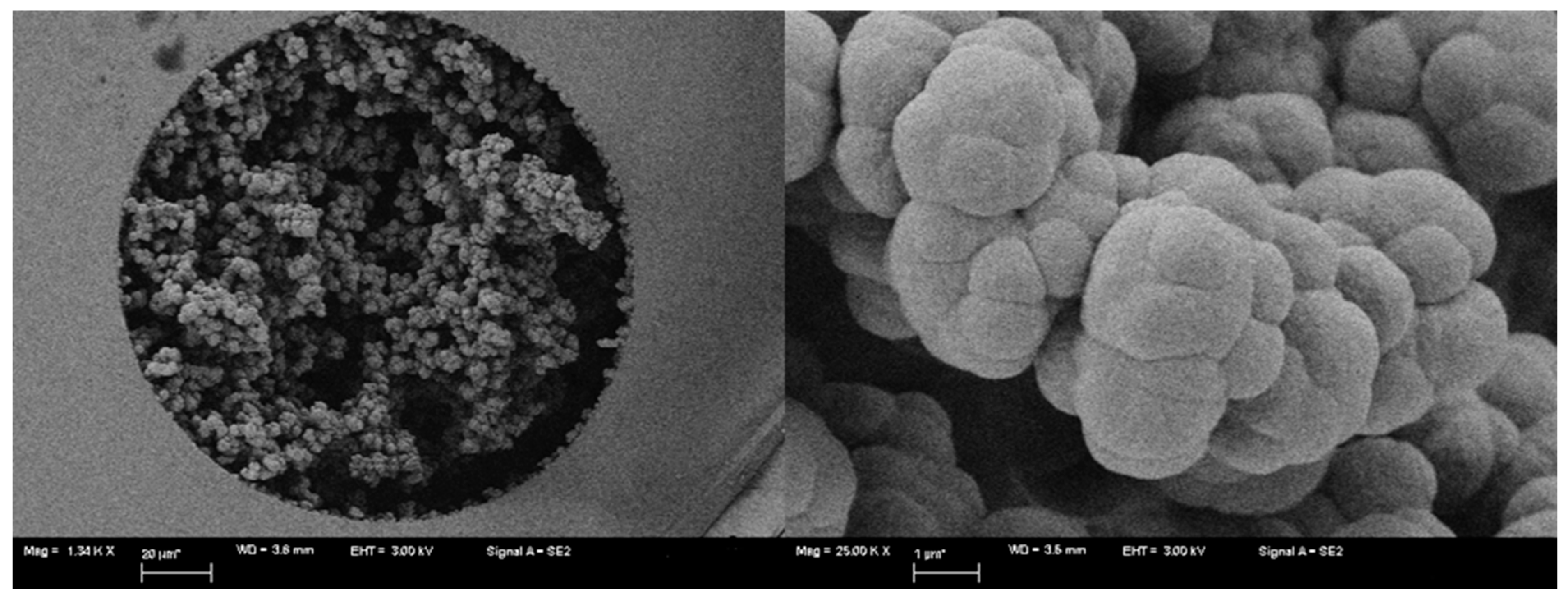 Molecules 24 00833 g002