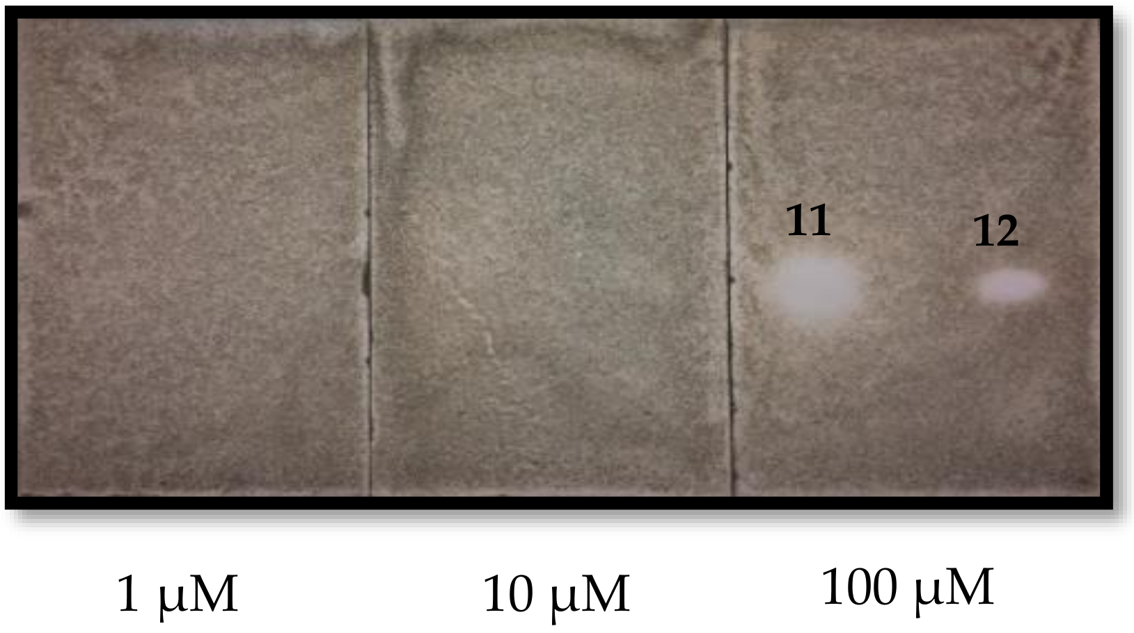 Molecules 24 00835 g004