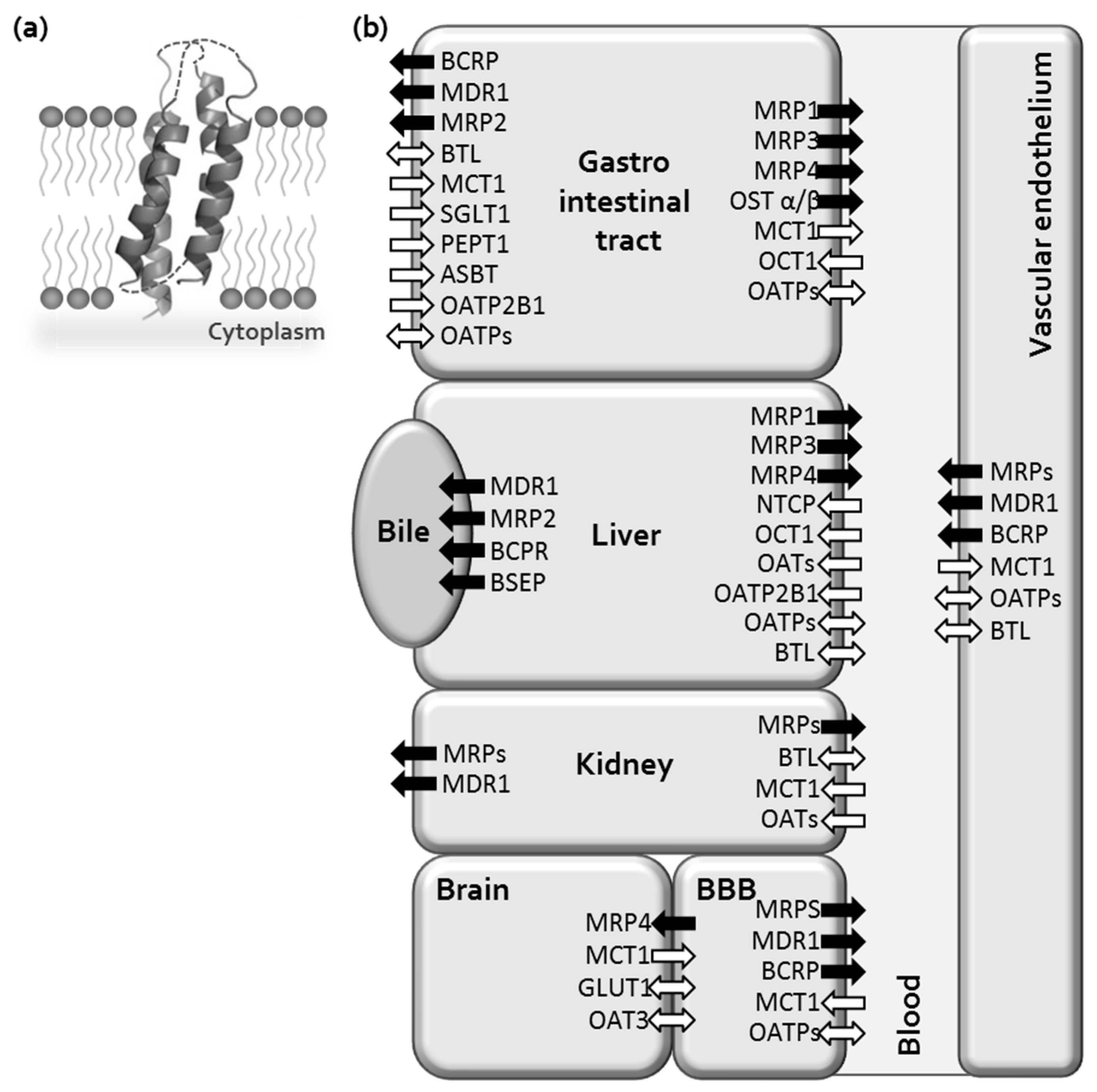 Molecules 24 00837 g002 Molecules 24 00837 g002
