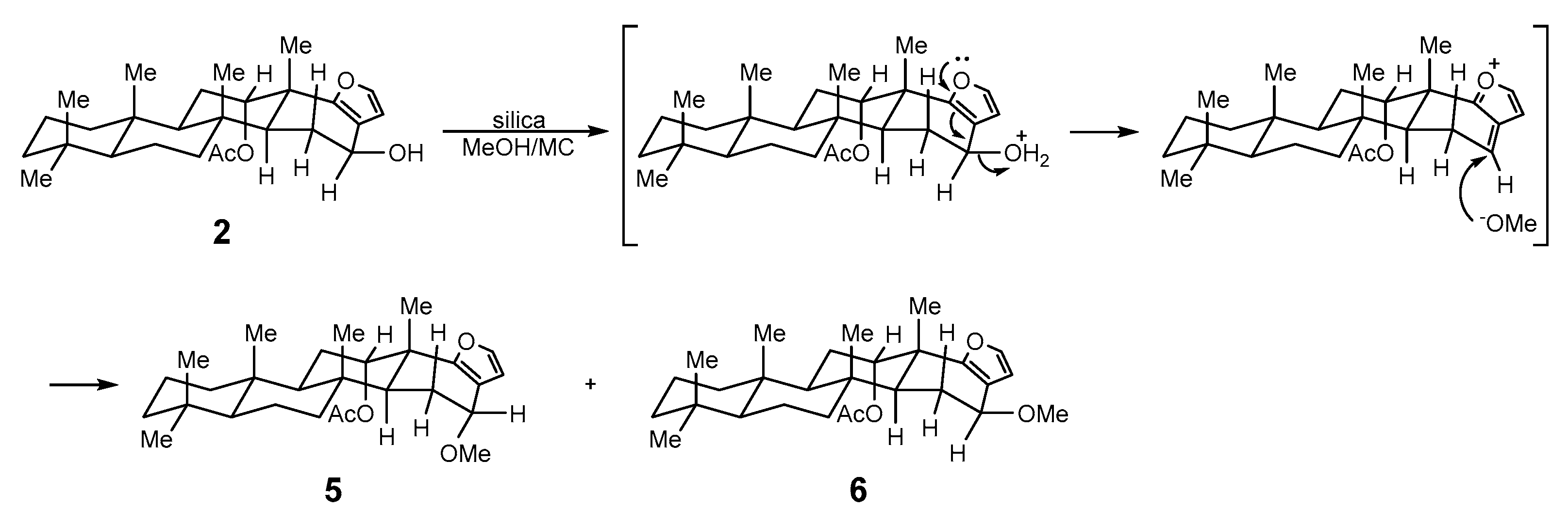 Molecules 24 00840 g004 Molecules 24 00840 g004