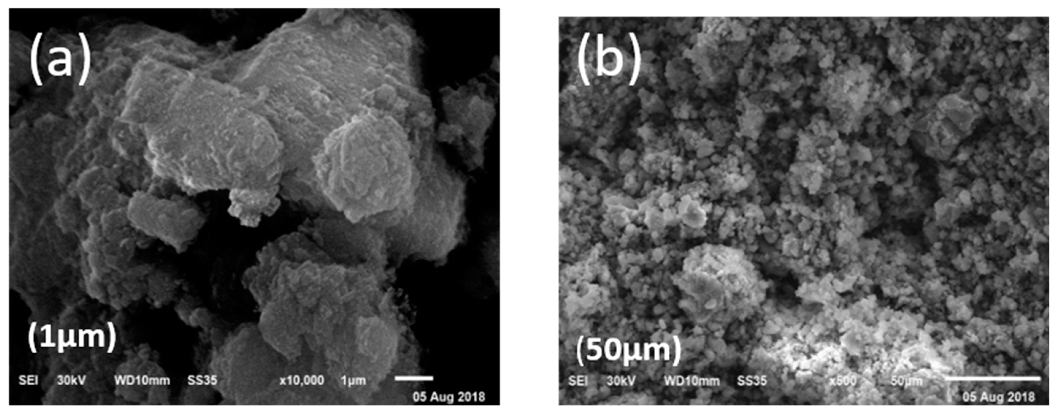 Molecules 24 00847 g003