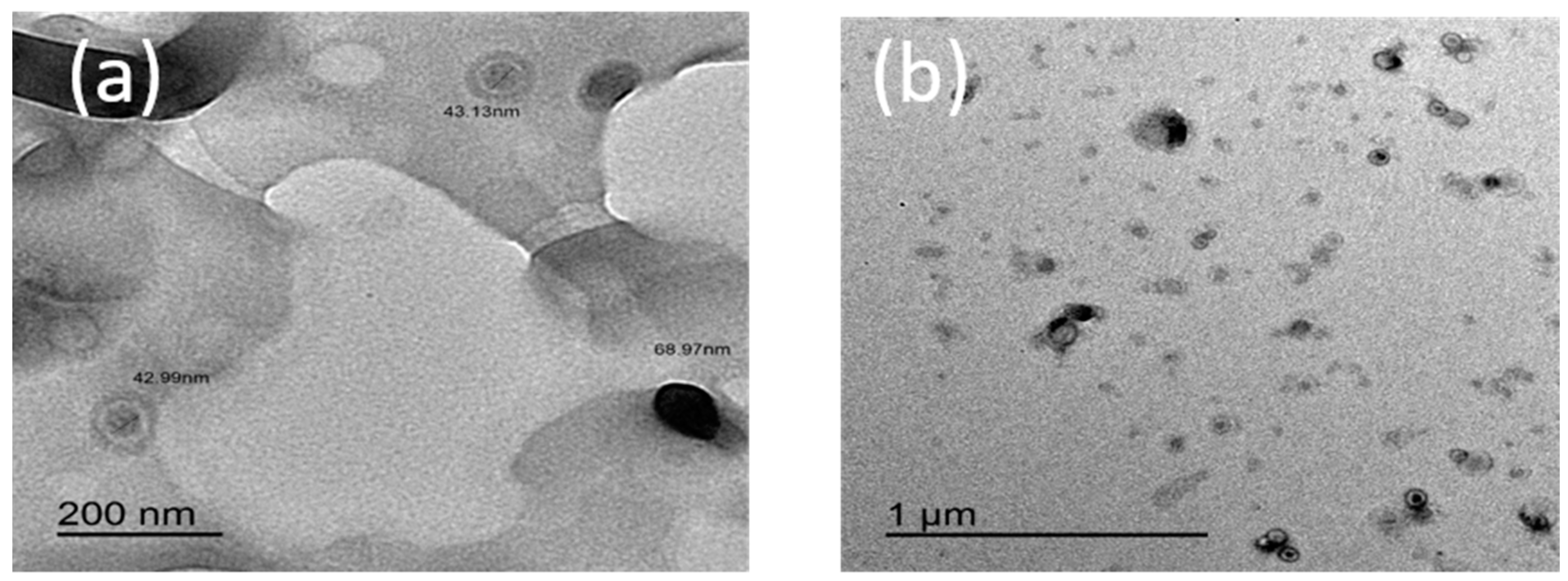 Molecules 24 00847 g004