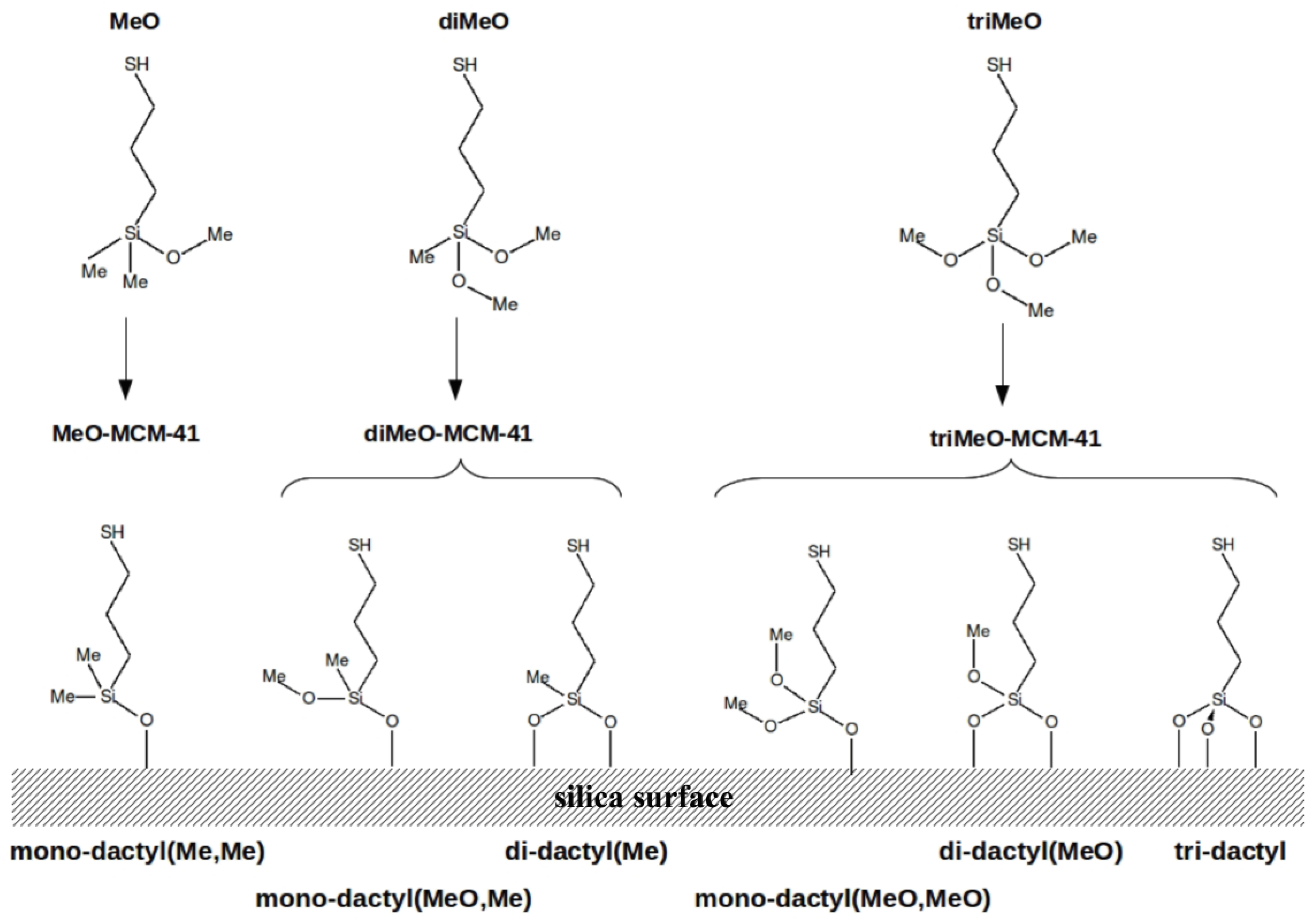 Molecules 24 00848 g001